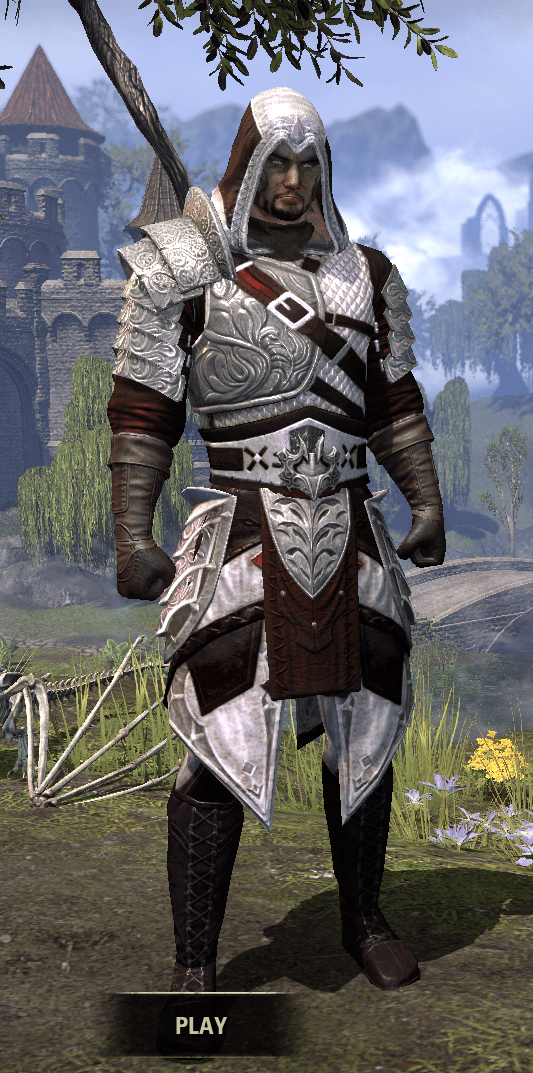 Elder Scrolls Online Assassin Armor