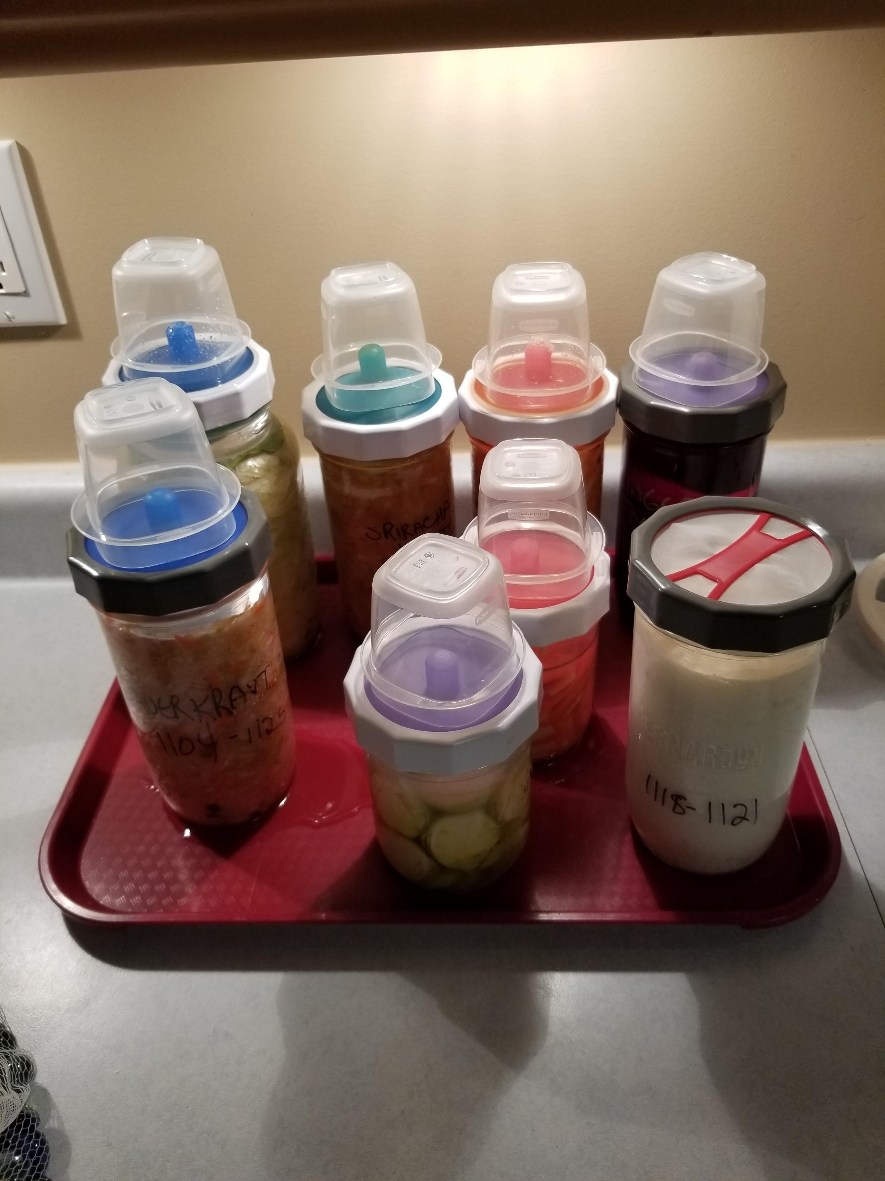 They pee the bed every night! r/fermentation