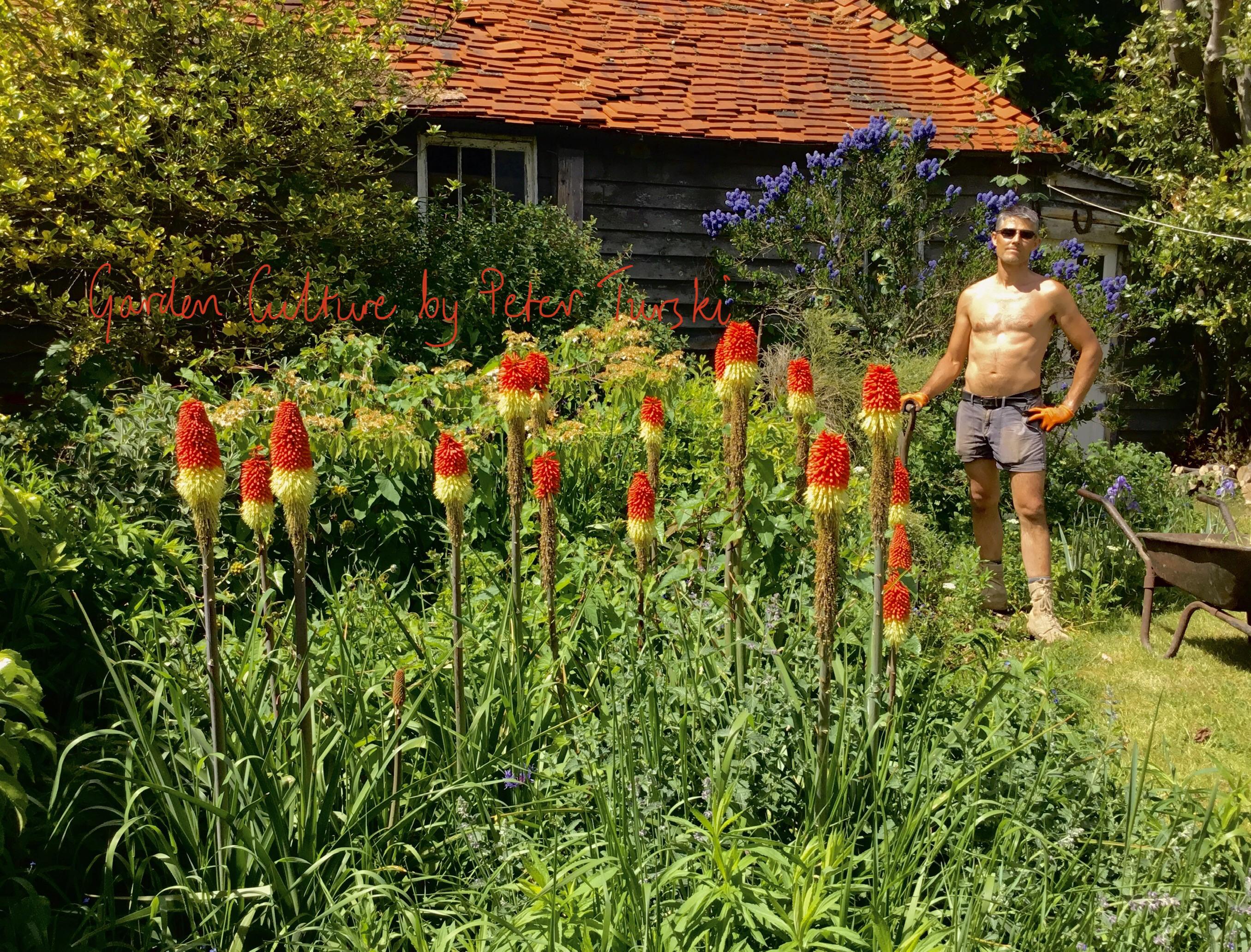 19 years a gardener, and I just can’t get enough of it. What does