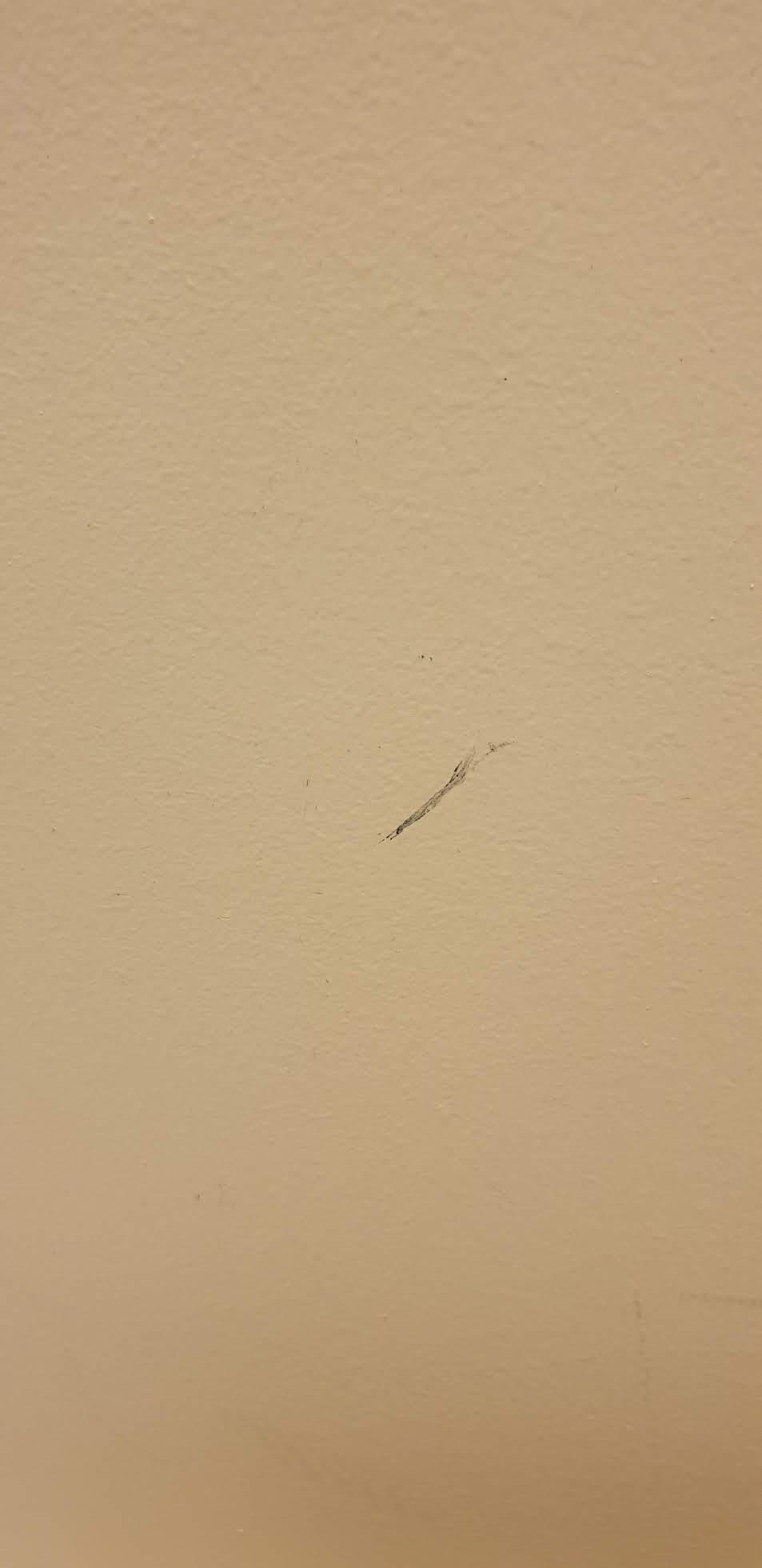 How to remove mark on painted wall left by my laptop? Worried about