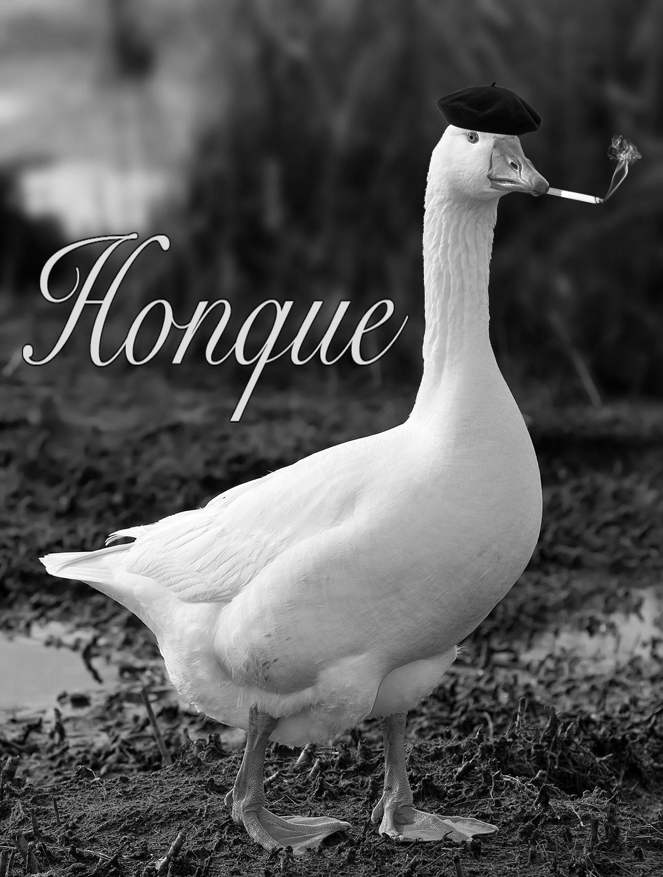 French Geese be like r/untitledgoosegame