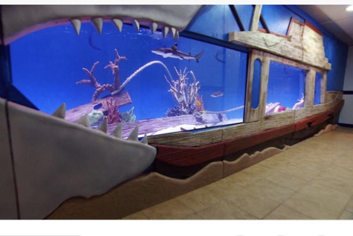 122 best Tracy images on Pholder Real Tracy Pics and