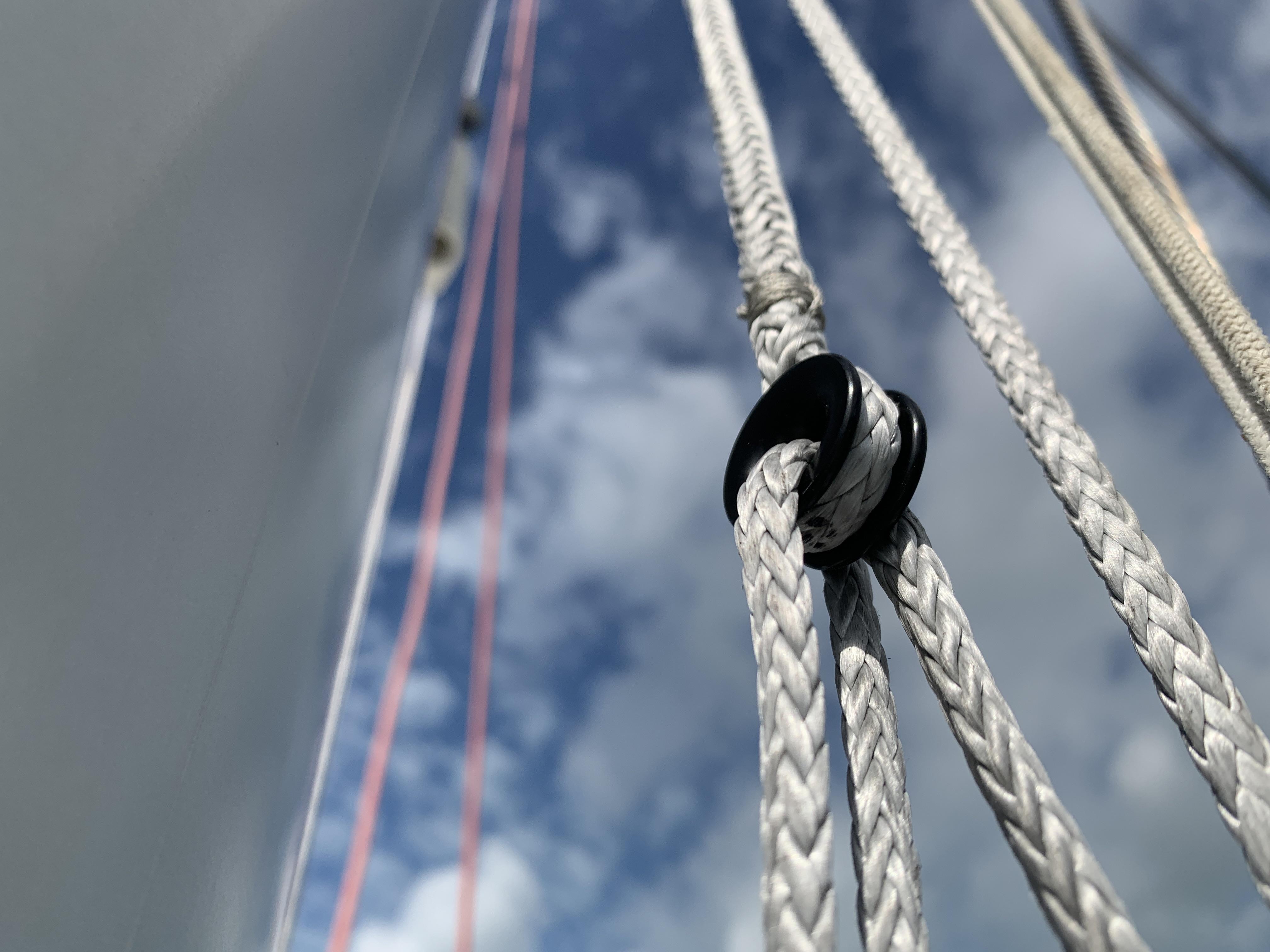 Dyneema my friend. Just made these dyneema lazy jacks sailing