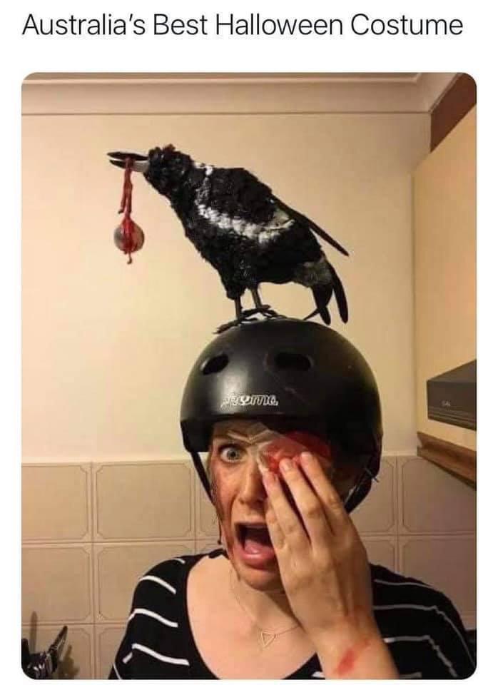 Royal McPoyle r/IASIP