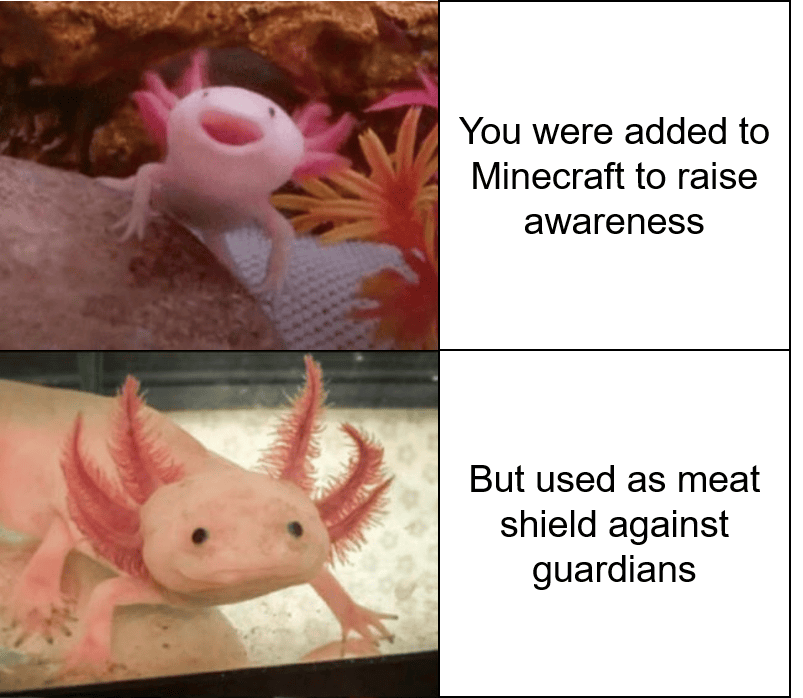 ++ 50 ++ axolotl minecraft meme 121274Axolotl minecraft meme