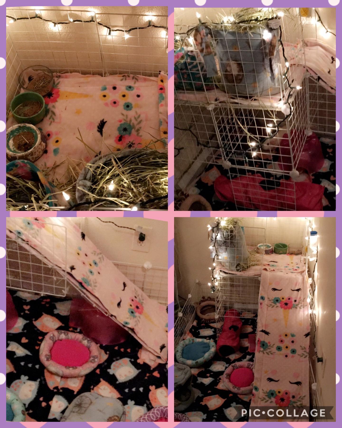 It took ALL day, but I finished my guinea pig mansion! I made all the