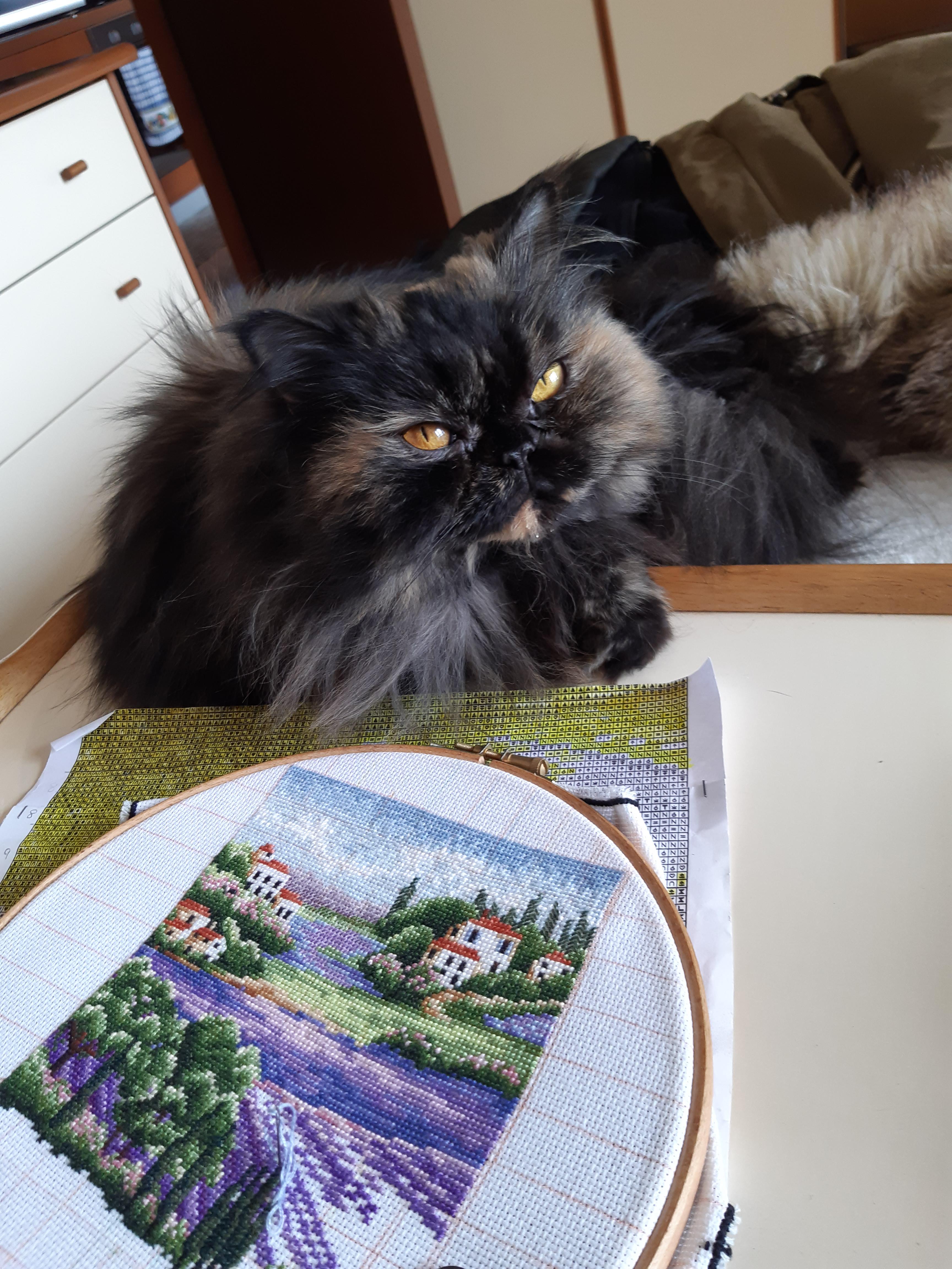 [WIP] this will be a gift for my mother, she loves lavender related