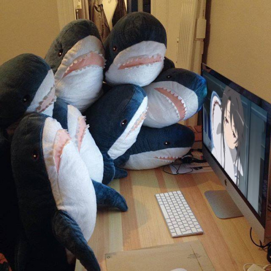 Krypto_nat (u/krypto_nat) - Reddit