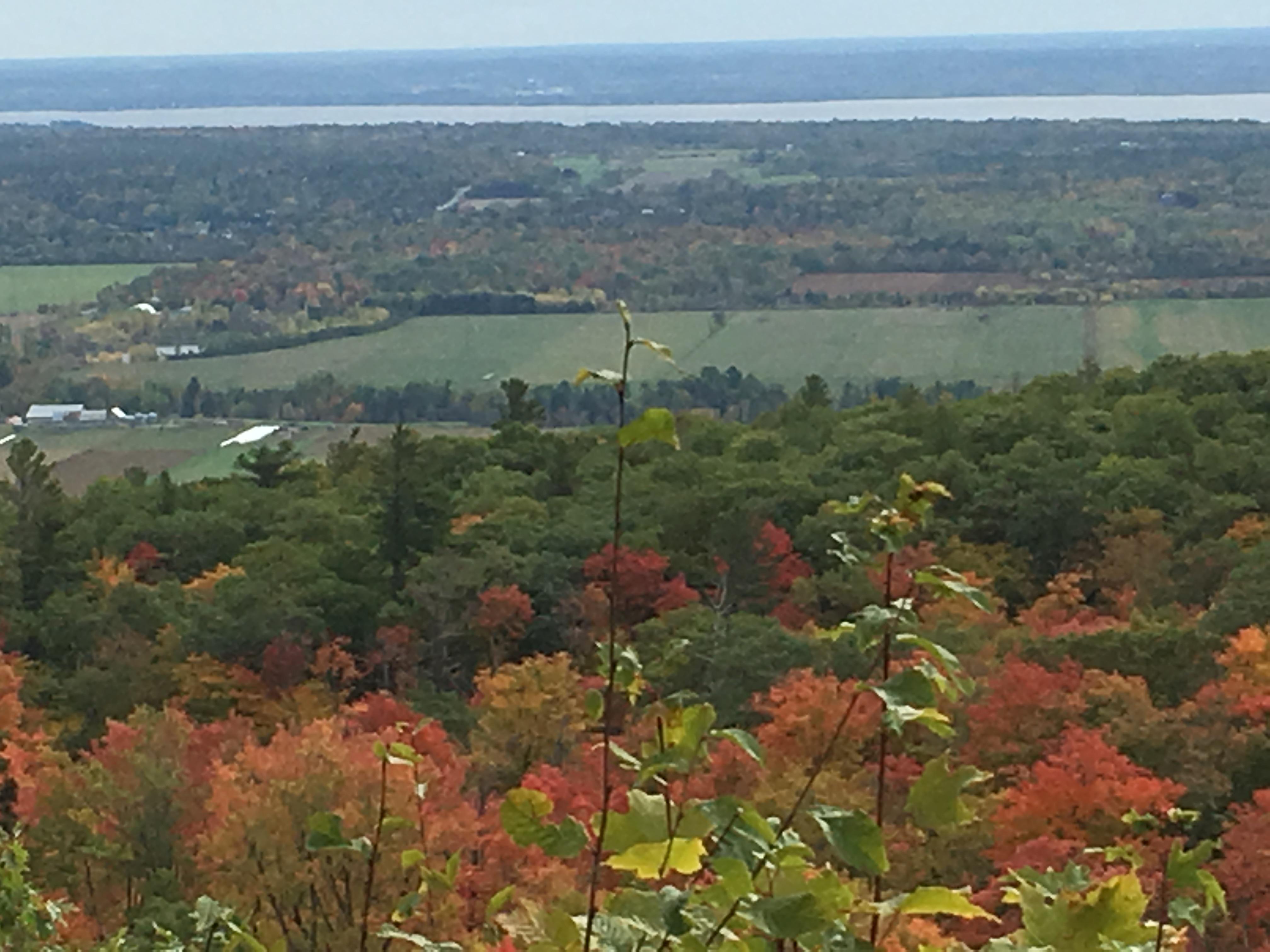 The view from Champlain Lookout today. r/ottawa