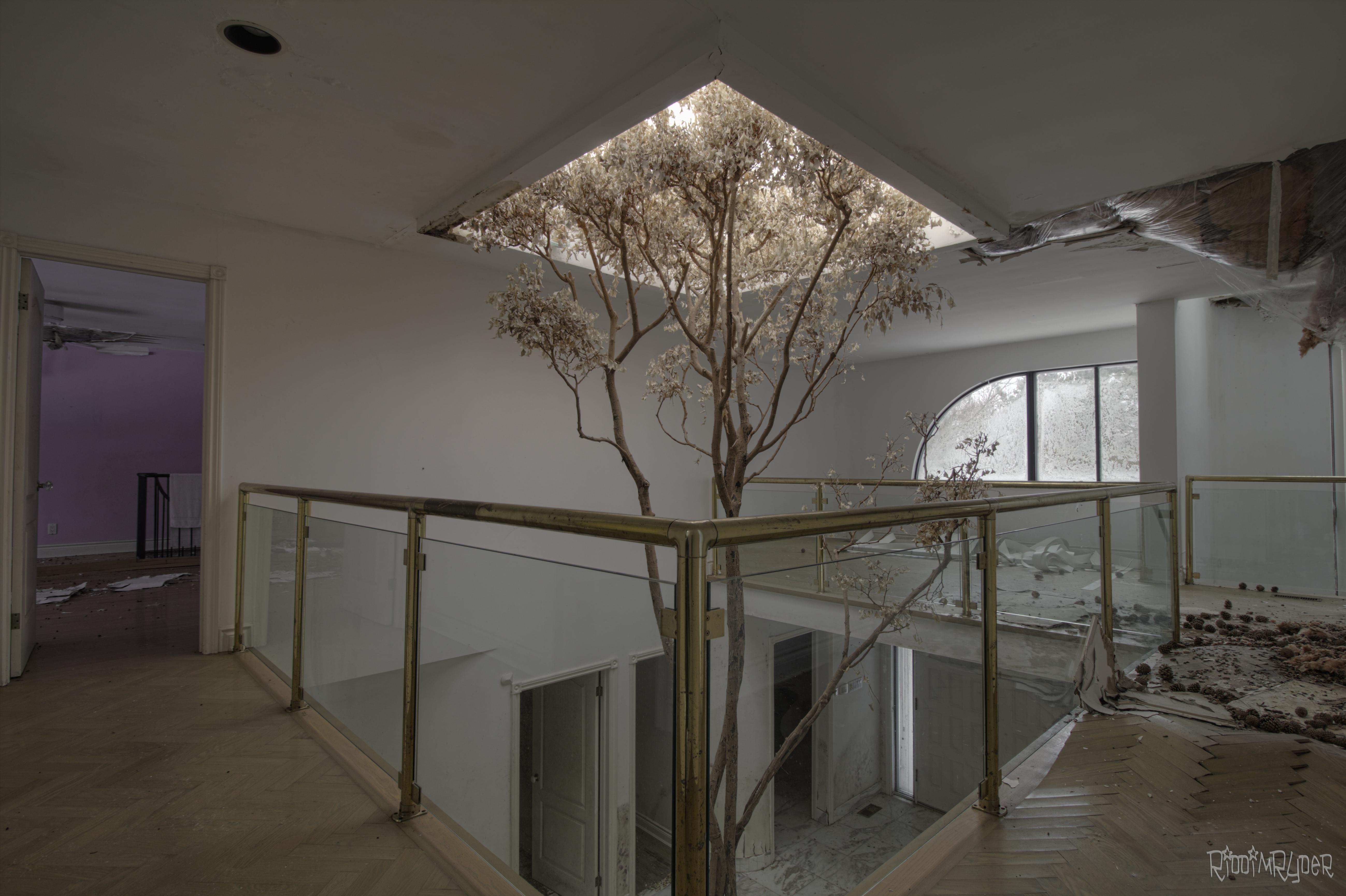 Abandoned Mansion in Toronto Ontario That Had a Tree Growing in It