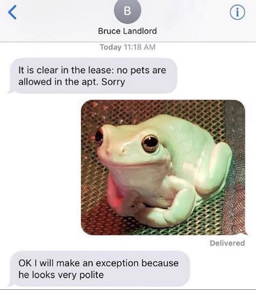 Polite boi r/frogs