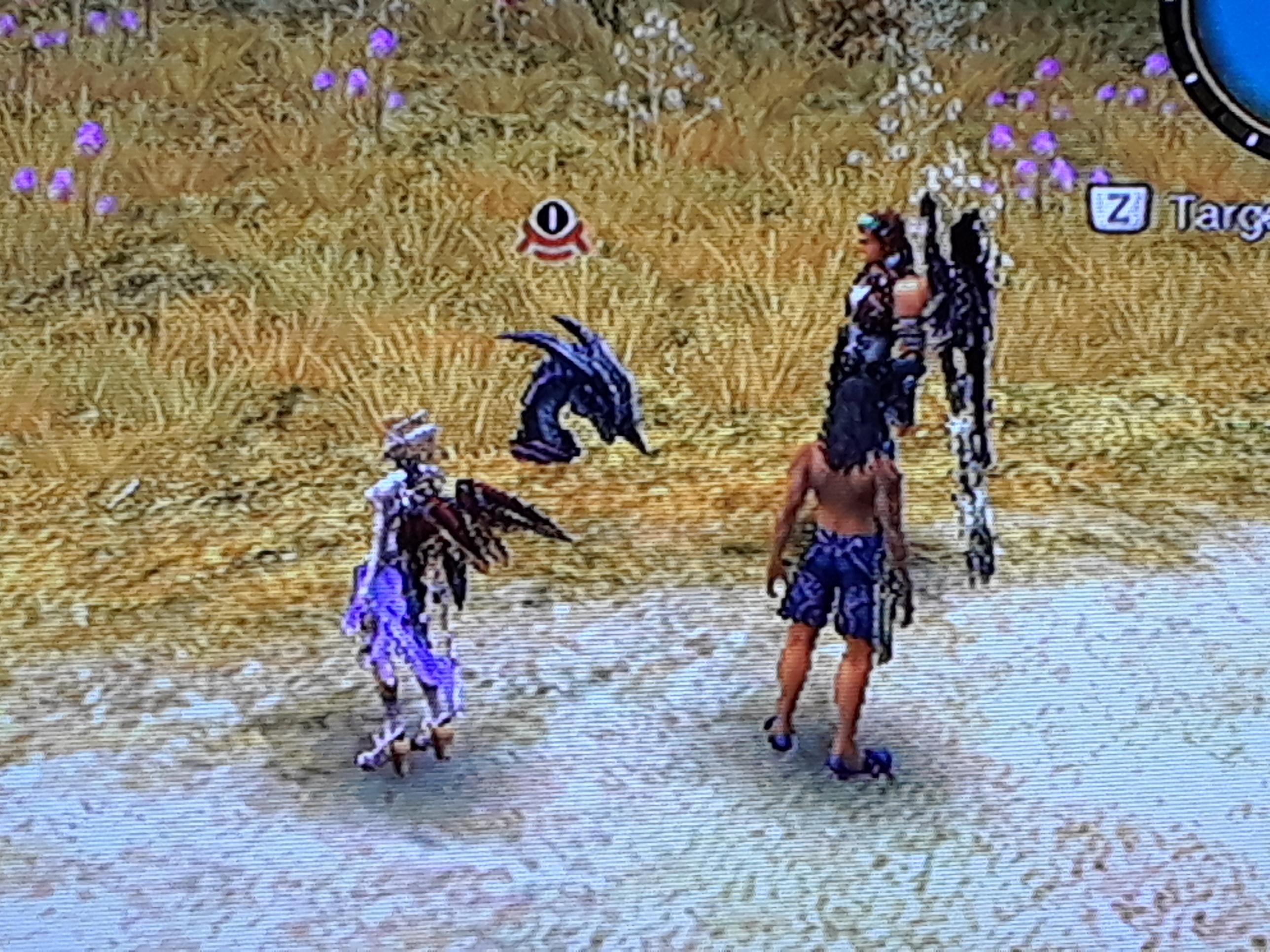 When your friends bury you in the sand and you. Igna "hide' jacket. Xenoblade_Chronicles