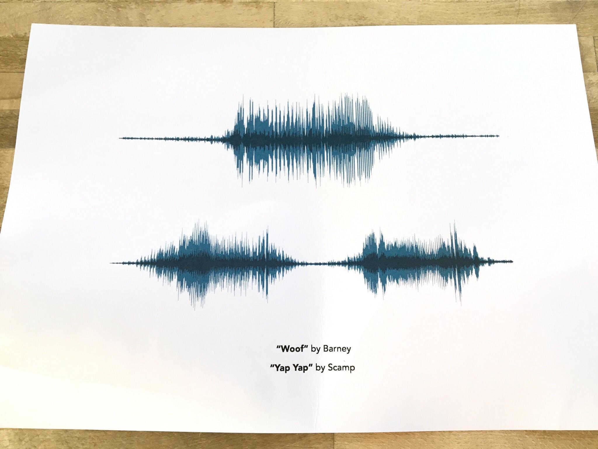 This print showing the sound waves of my dogs barks