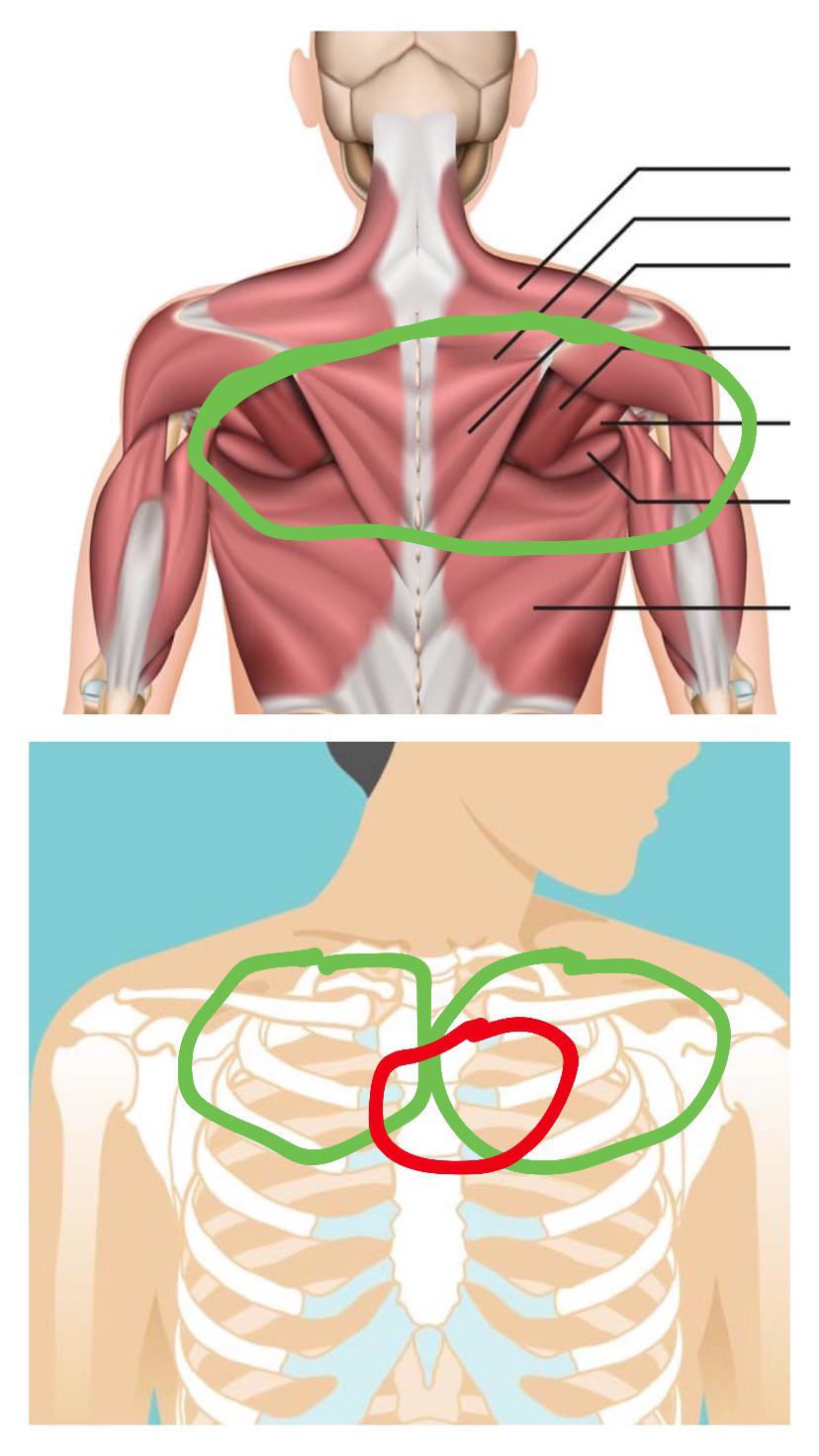 do any of you have pain on a daily basis in these areas