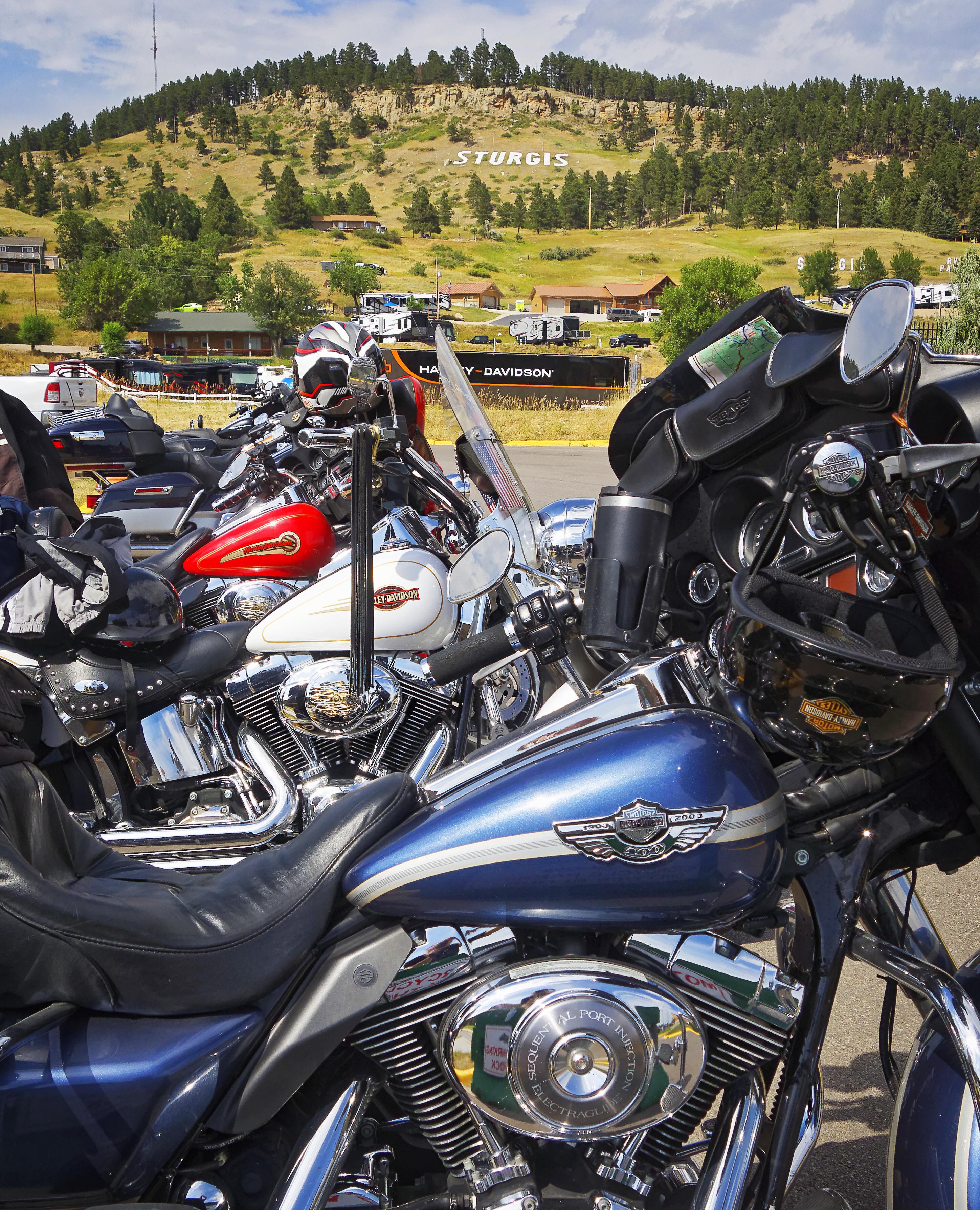 Sturgis 2022 r/Harley