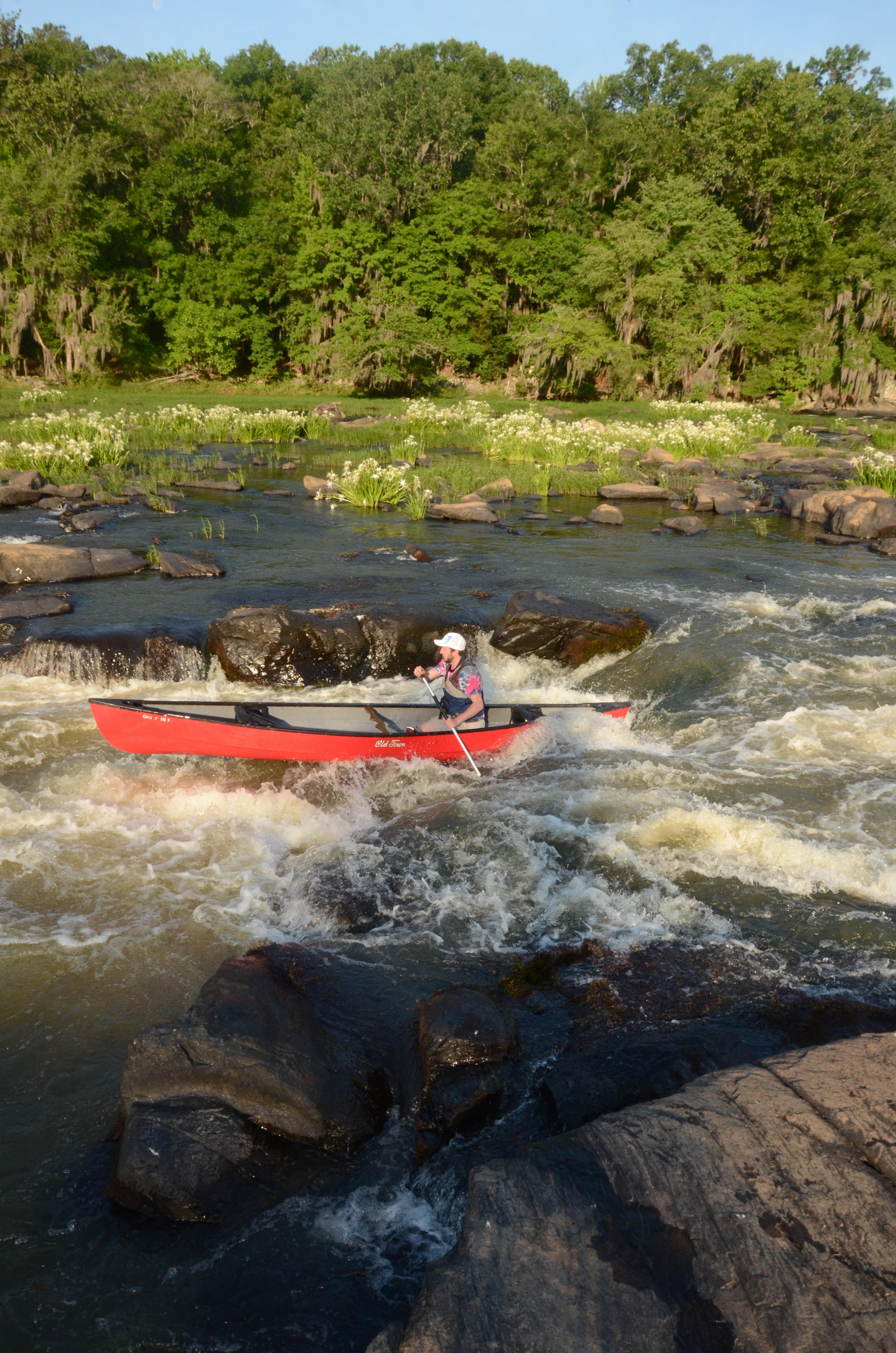 Flint River at Yellow Jacket Shoals in How many other places can you see cypress and