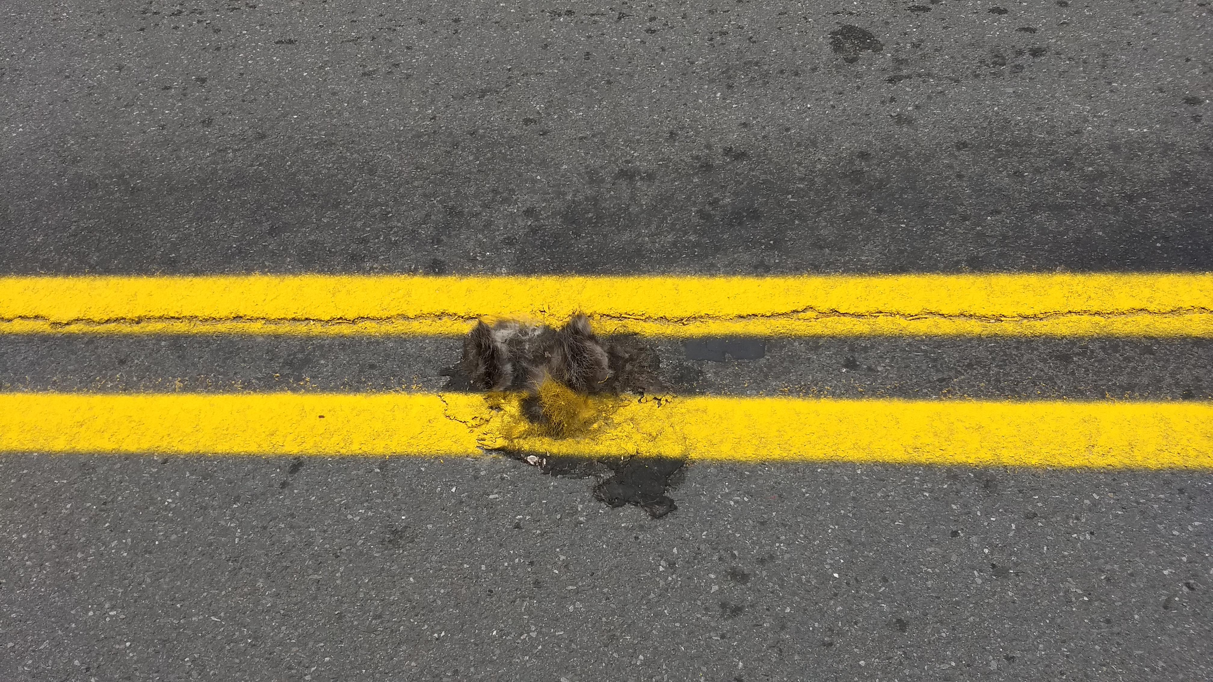 Excellent job with the road striping r/Troy