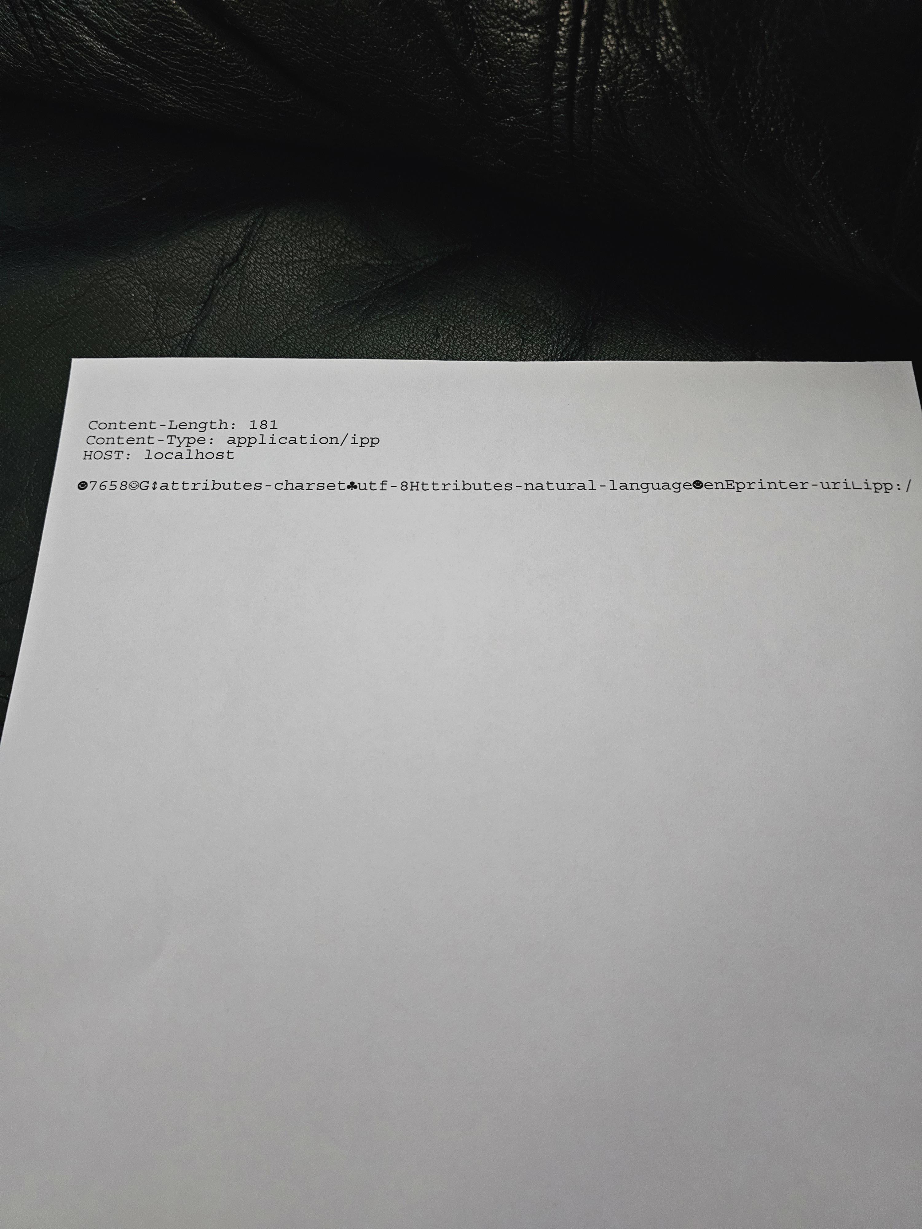 HP Printing Gibberish r/printers
