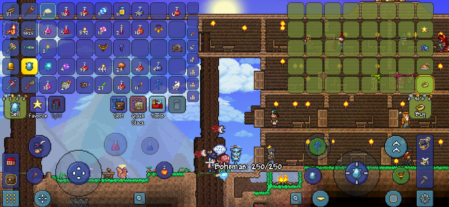 isn't this a rare item?(angel halo) r/Terraria