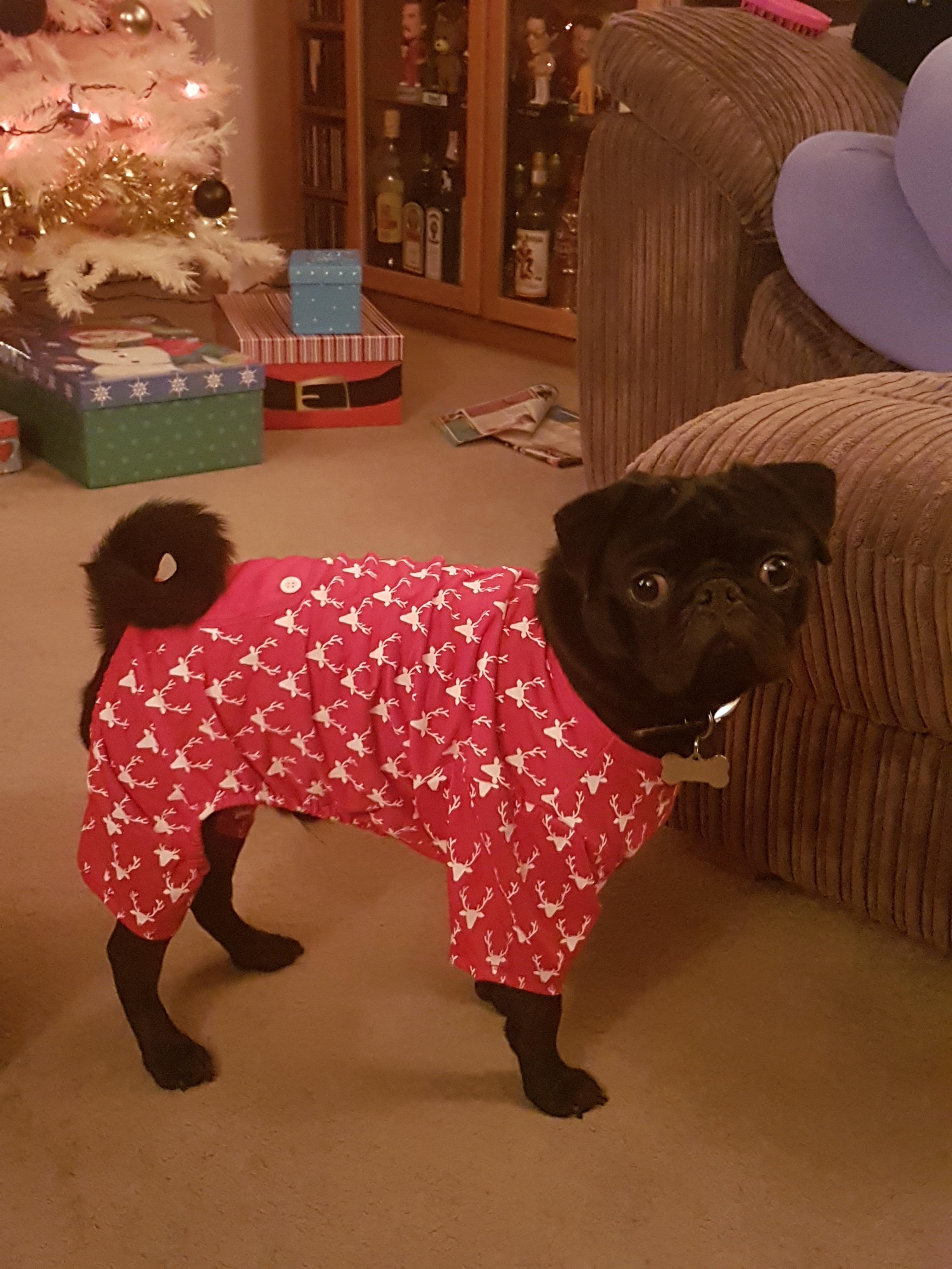 Reddit Dive into anything