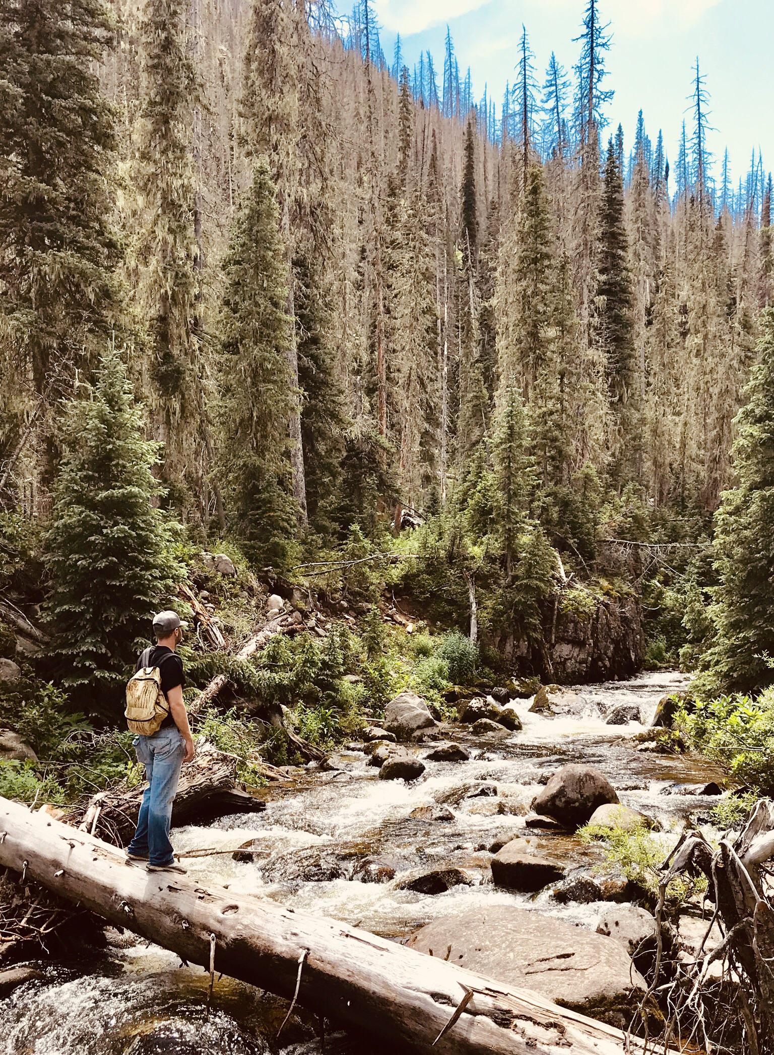 Breathtaking views on the Archuleta trail in South Fork, Colorado! r