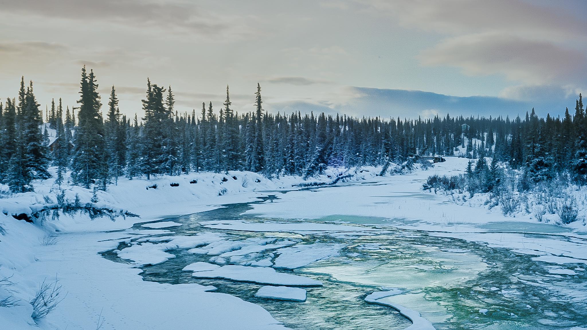 Freeze up on the Brushkana River. r/alaska