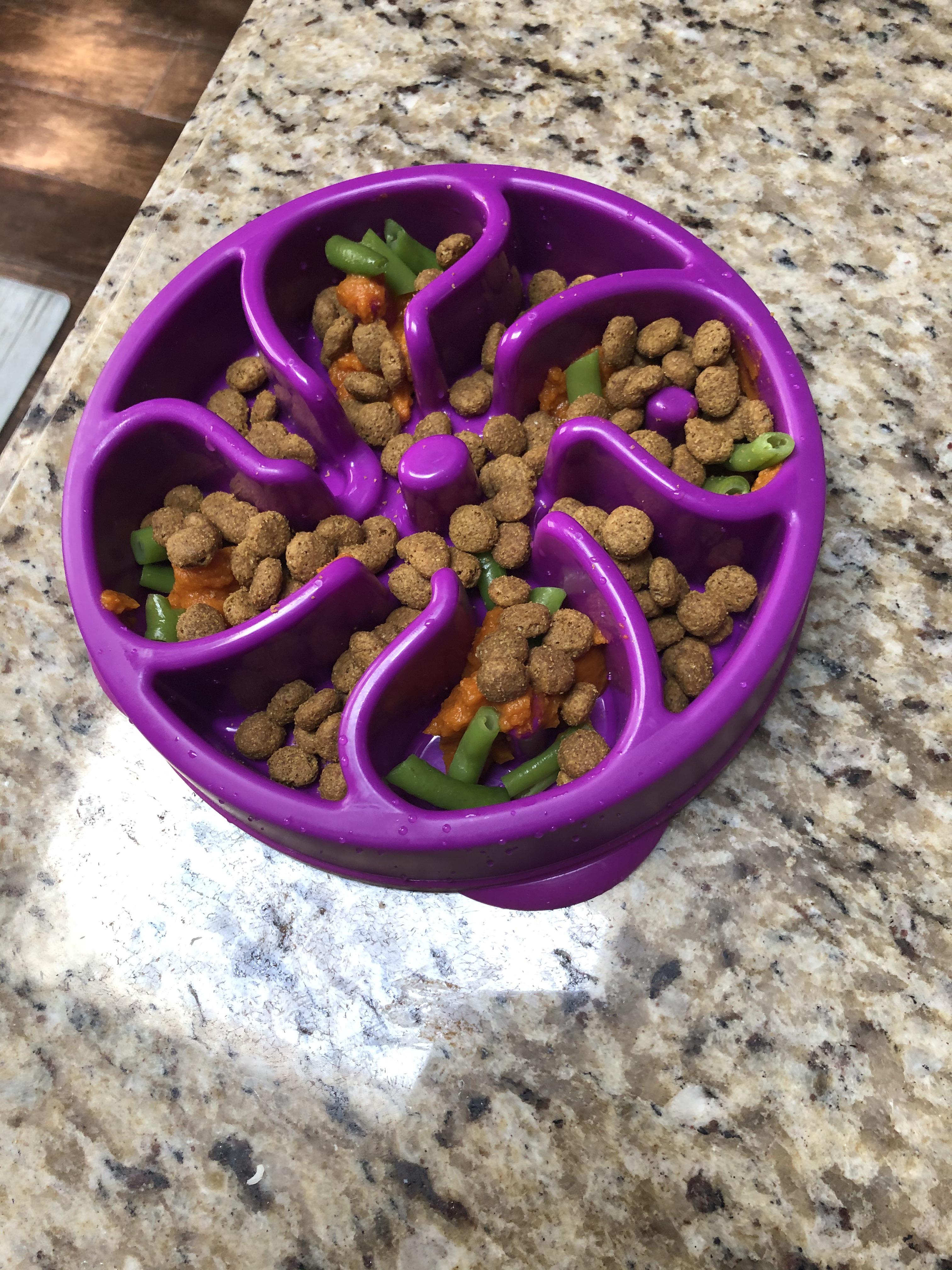 Ola is 22 weeks old. I feed her 1 cup of purina kibble, 1.5 tbs puree