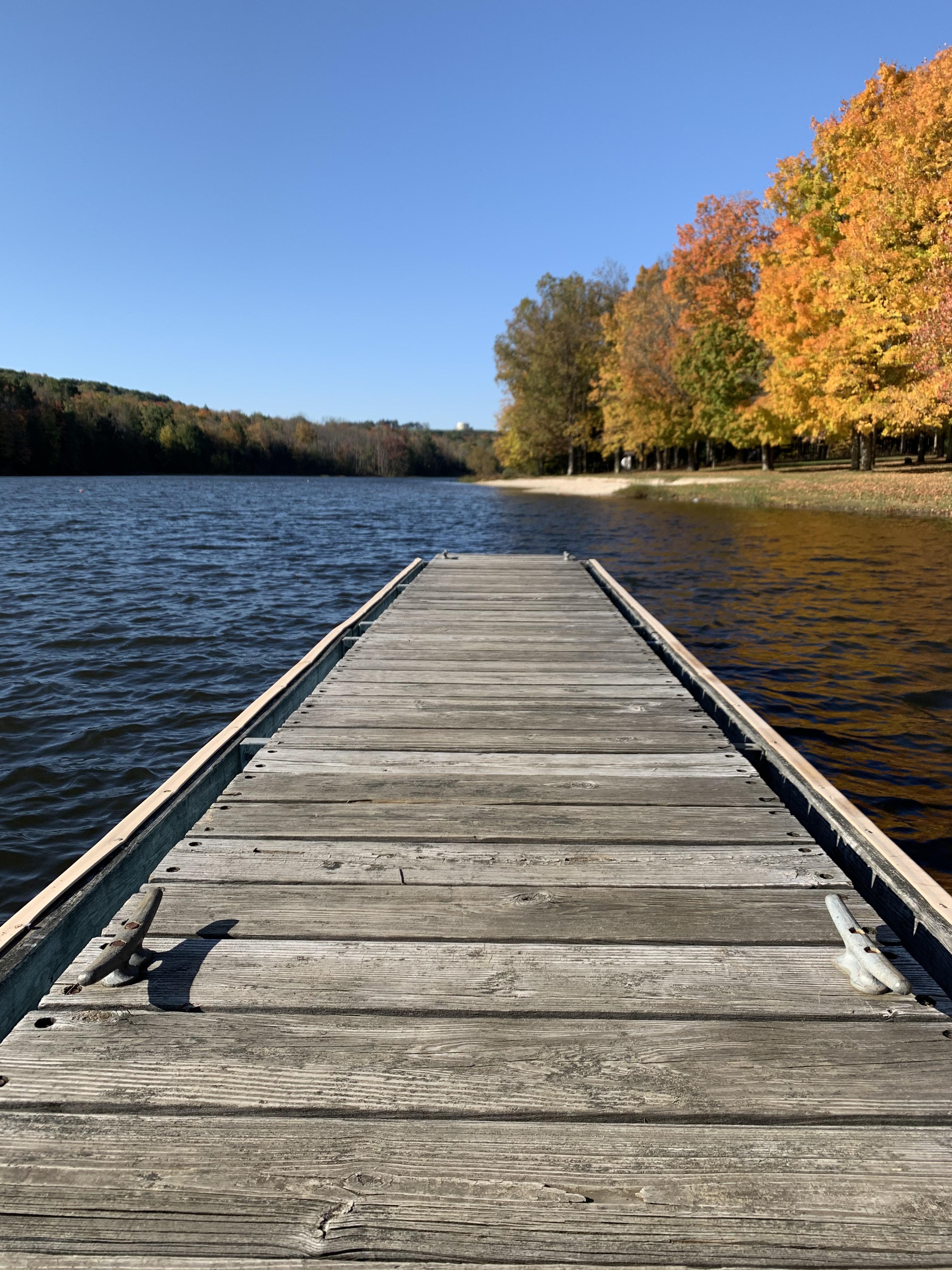 Prince Gallitzin State Park, Fall peak r/PAWilds