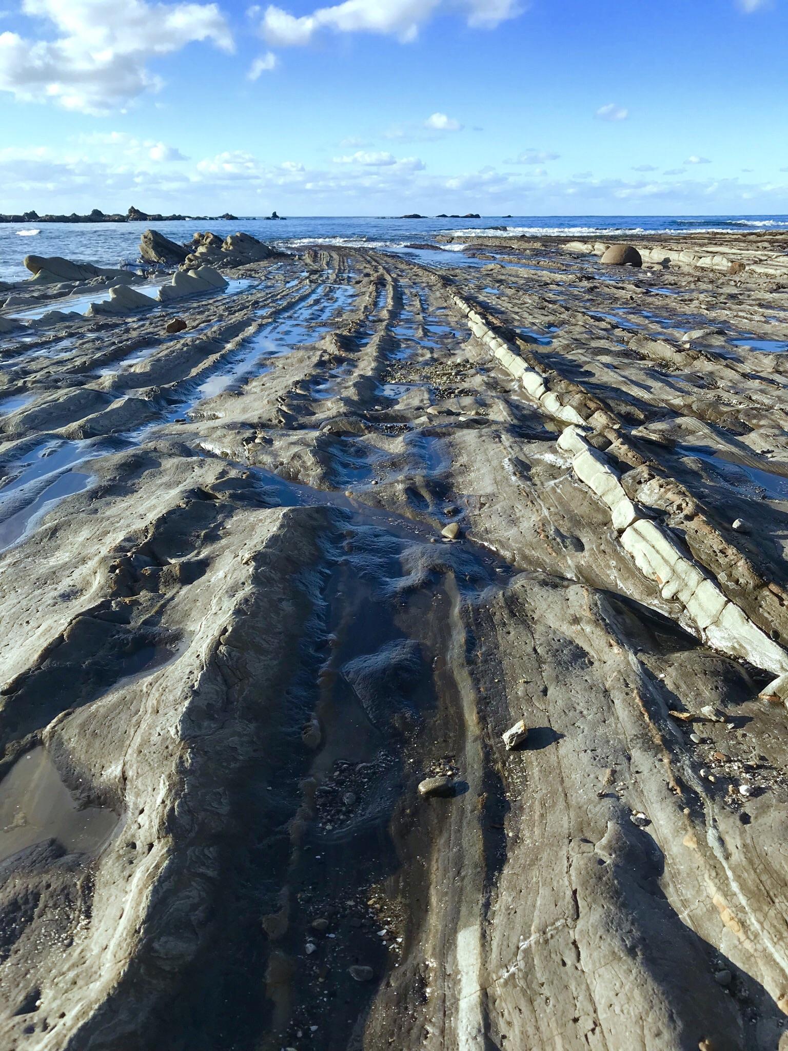 Drove to Shore Acres State Park outside of Coos Bay to escape the snow