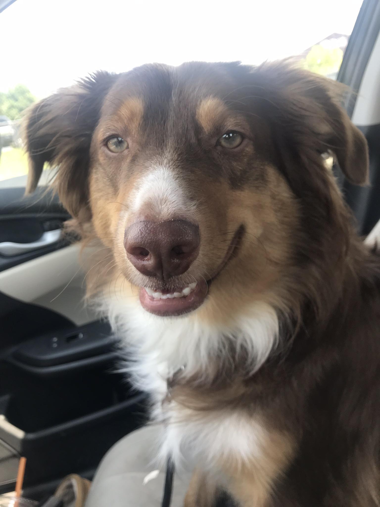 constantly looks like he got into somethin good, also ate a whole bag