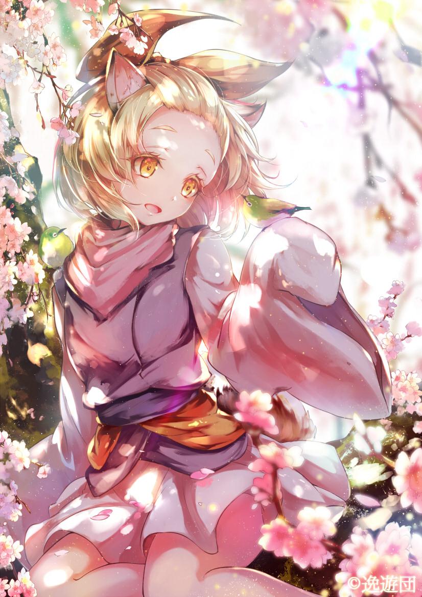 Ash Blossom & Joyous Spring r/yugioh