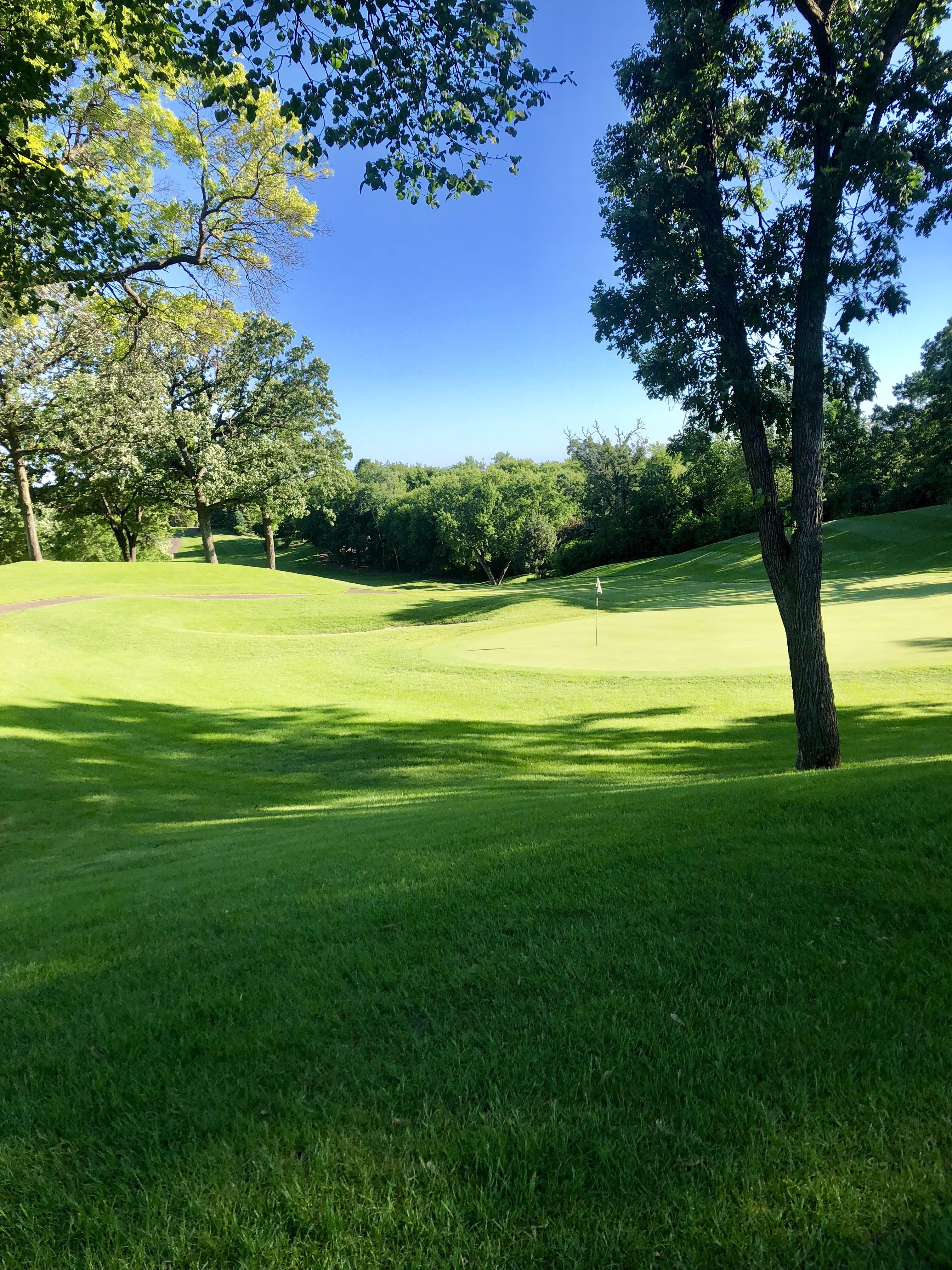 5 weeks ago we had a blizzard that dumped two feet of snow in