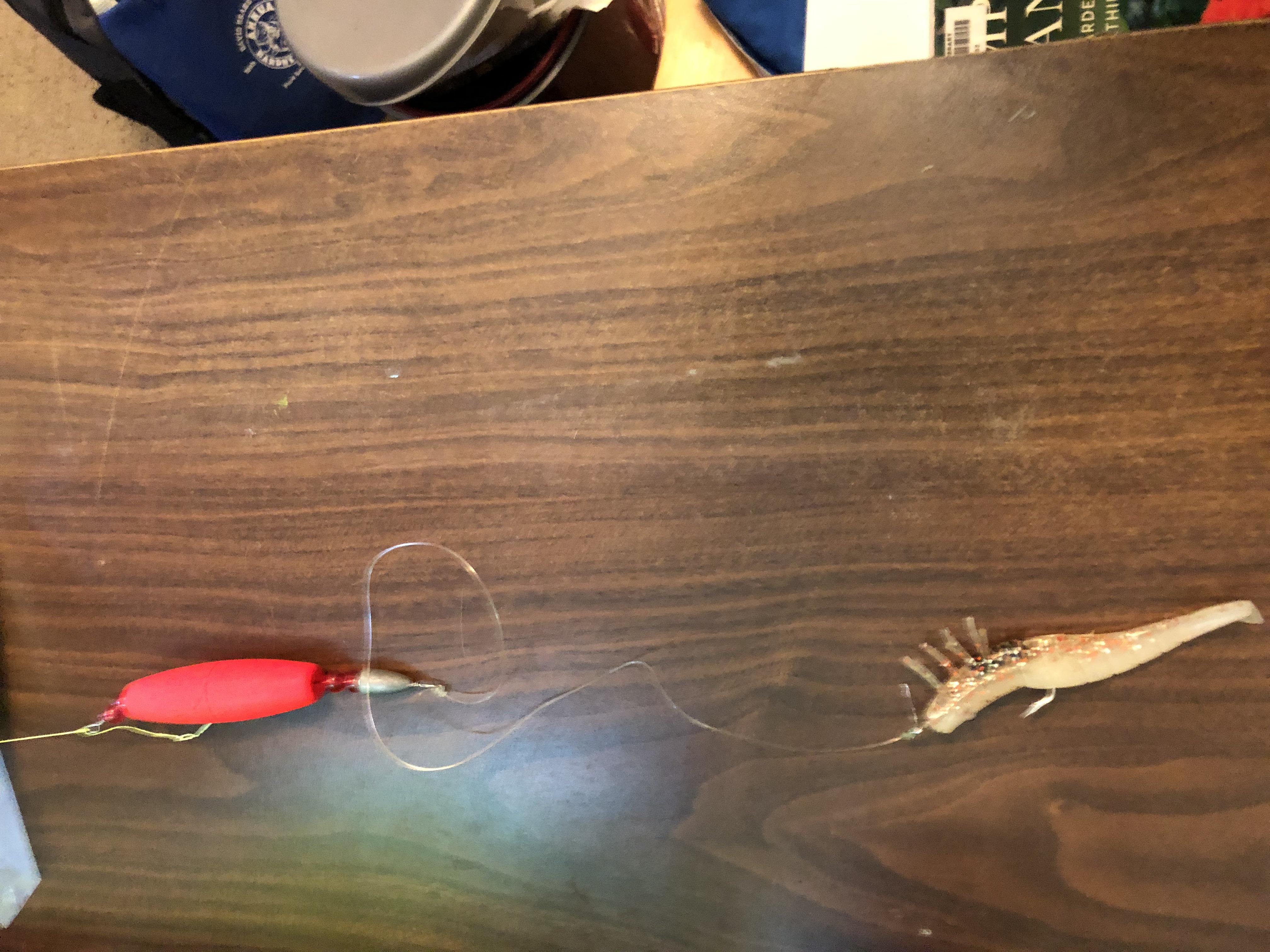 What do you think would hit this on a pier (or should i stick to dead