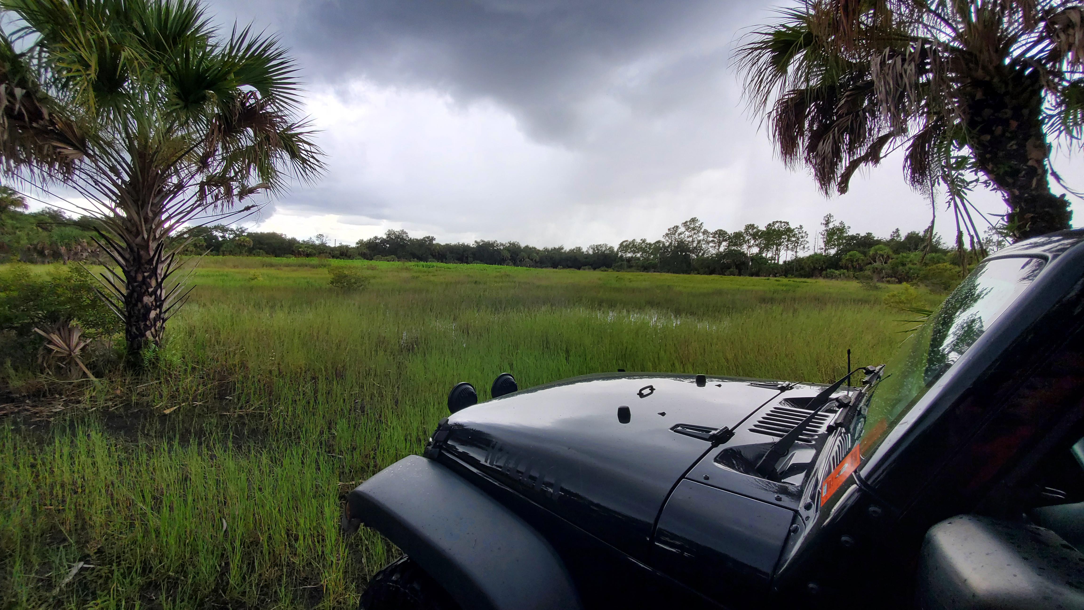 Finally got my ORV permit for Bear Island in Big Cypress Basin, FL. r