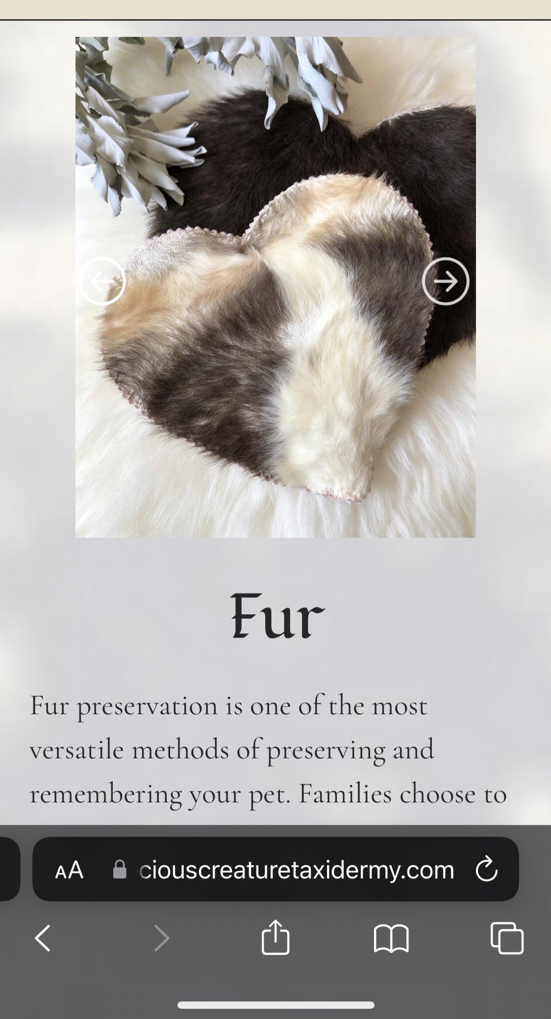 Looking for an artist in or around Houston TX to do a pet preservation