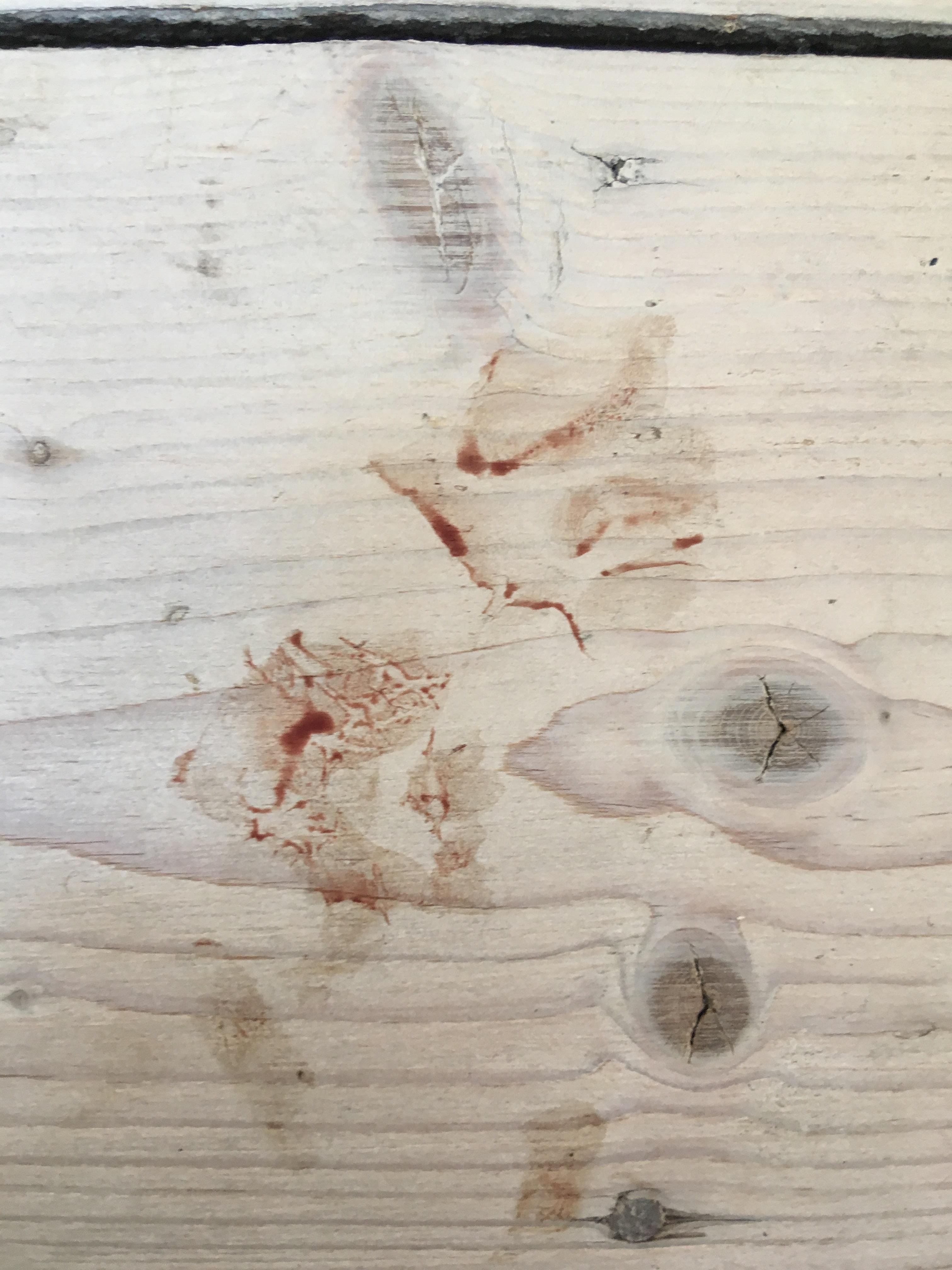 Found this on the ground, it doesn’t smell like blood and it comes off