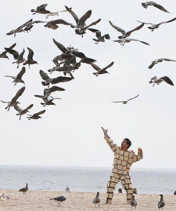 Bread man feeding the birds. r/WTF