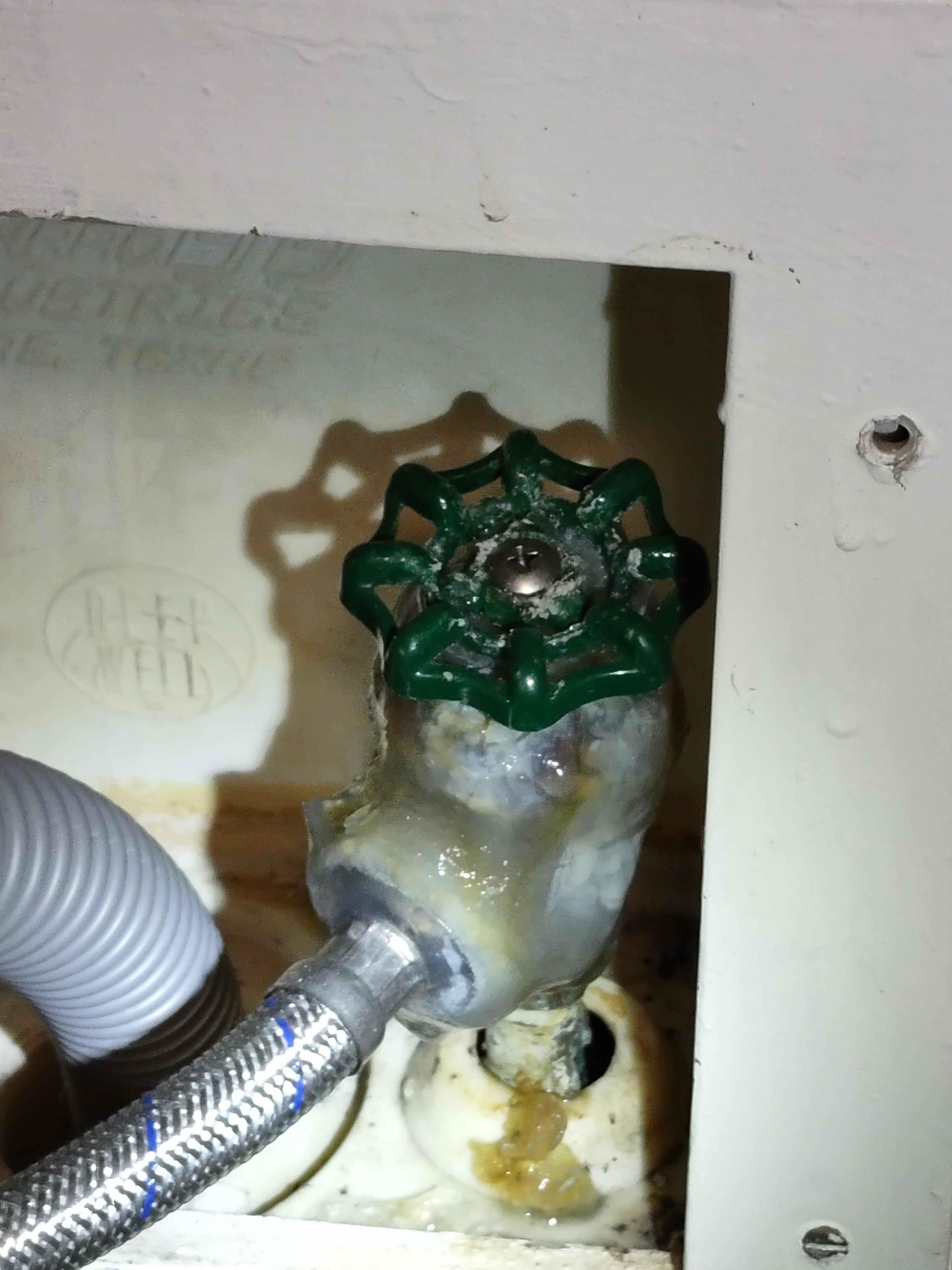 What in the leaky hell is going on with the cold water faucet on my