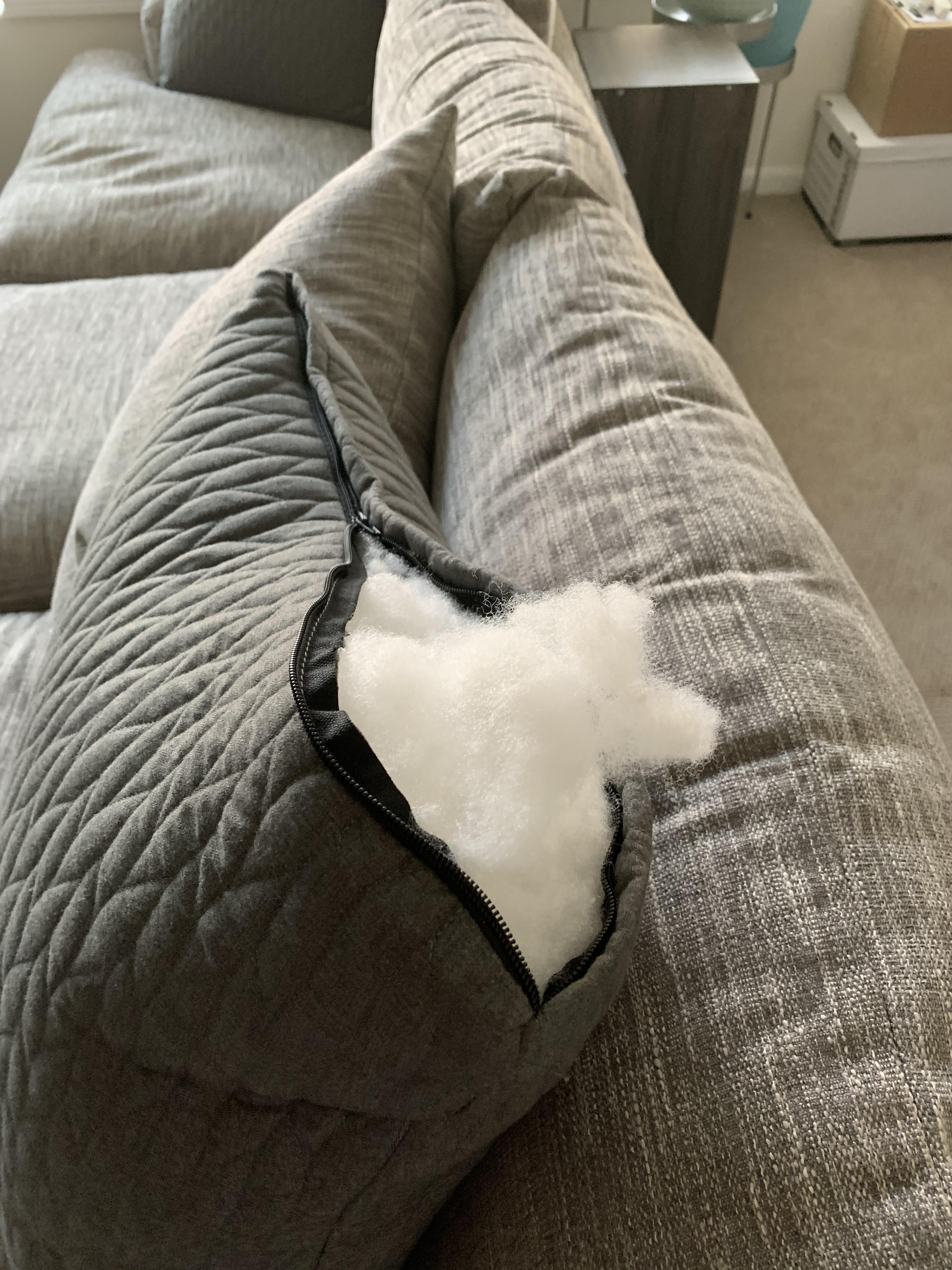 First time buying a couch. Thought I was clever asking if the cases are