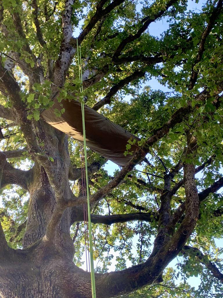 3384 best r/hammocks images on Pholder GF said she wanted me to take