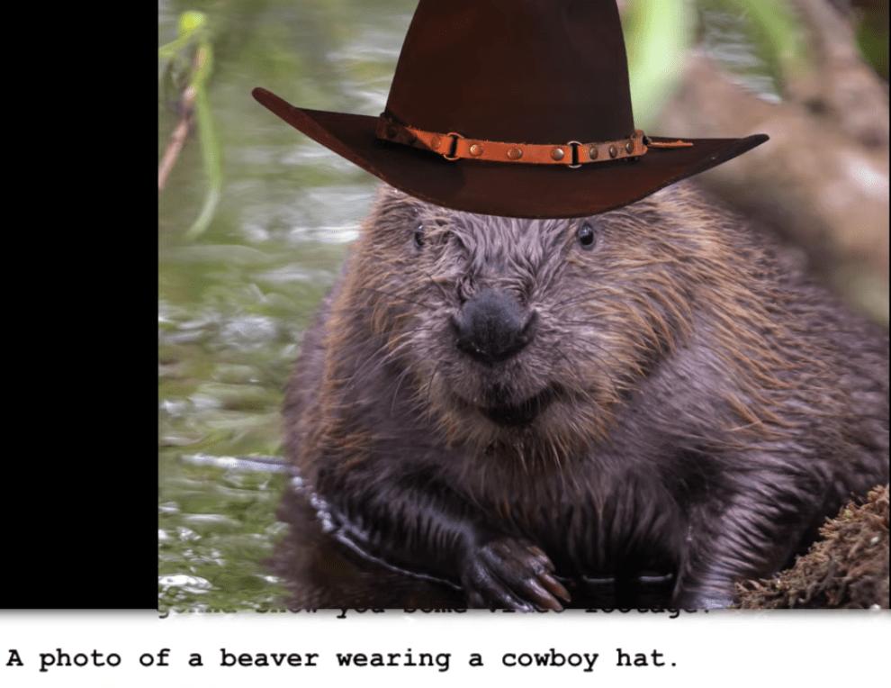 A photo of a beaver wearing a cowboy hat r/kurtisconner