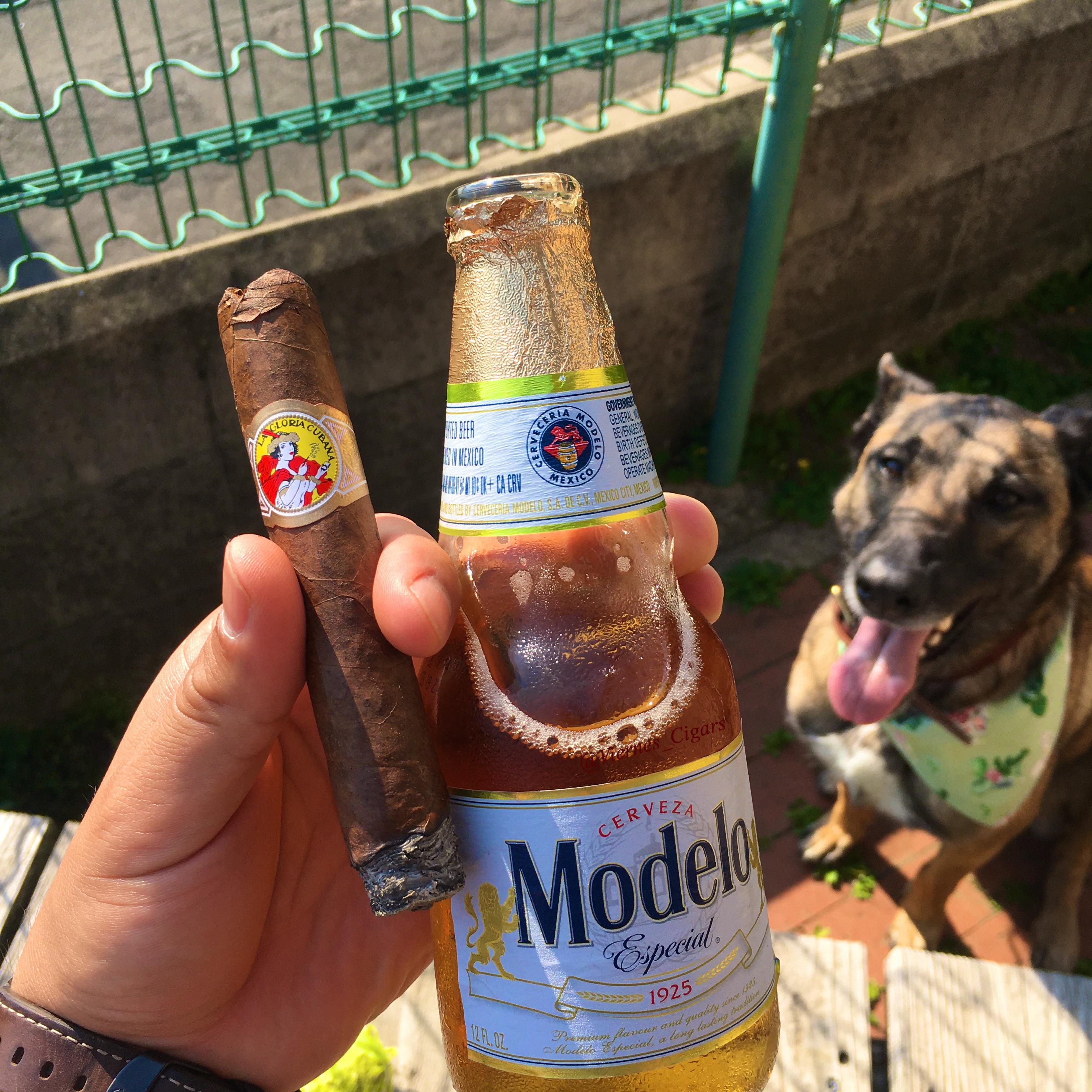 Good cigar, better beer, best companion 🐕 r/cigars
