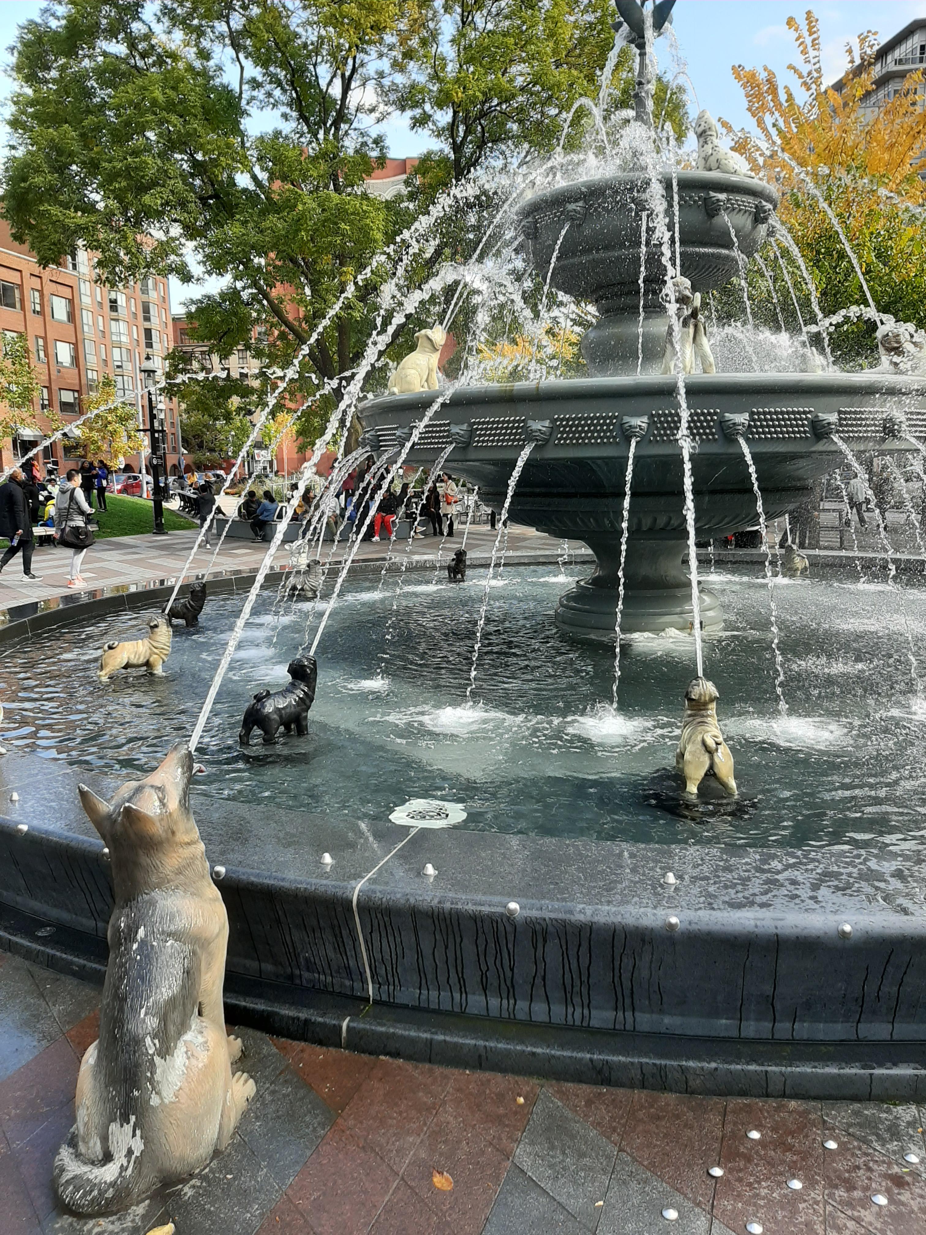 The dog fountain you didn't know you needed in your life. r/mildlyinteresting