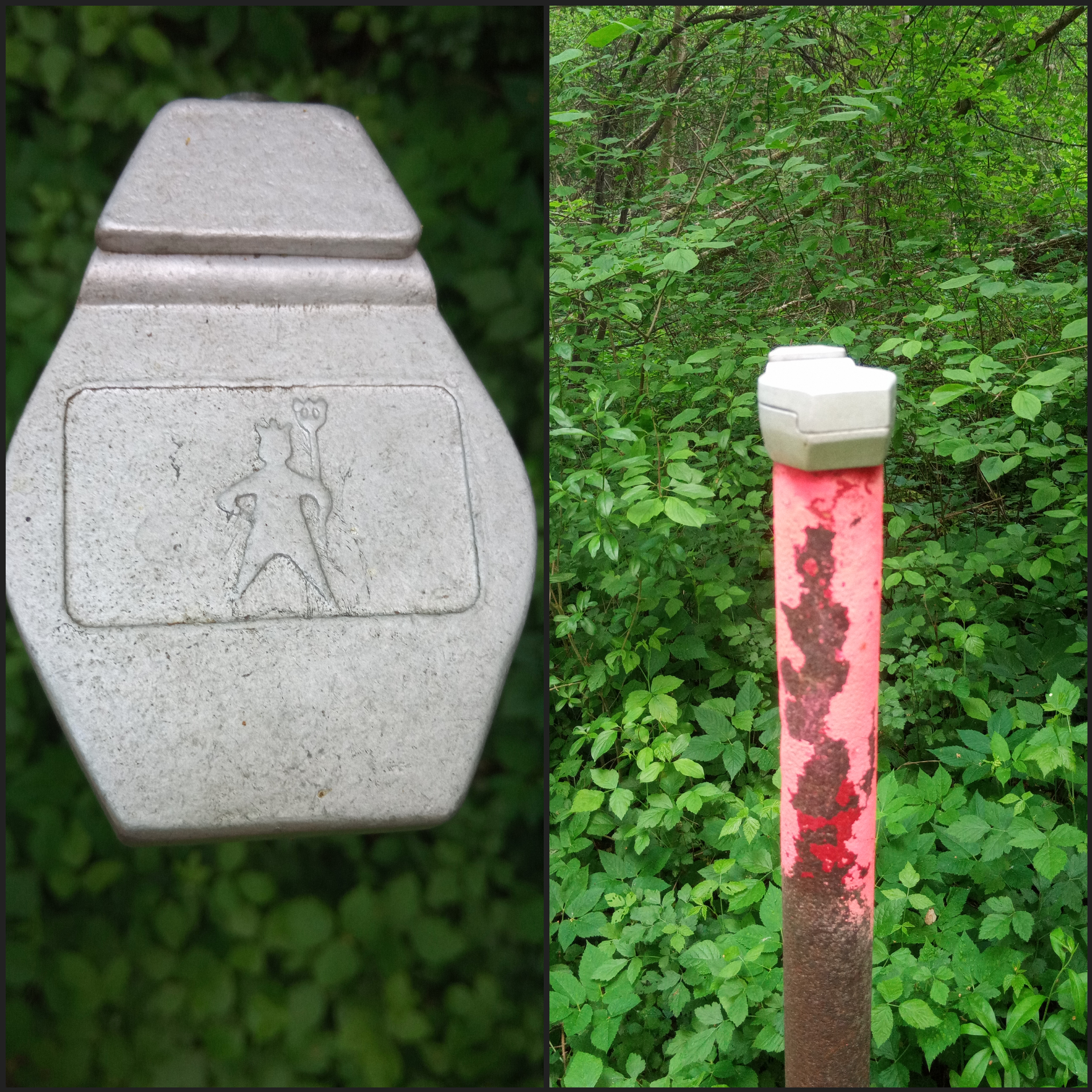 Was ist das Ding? : r/de