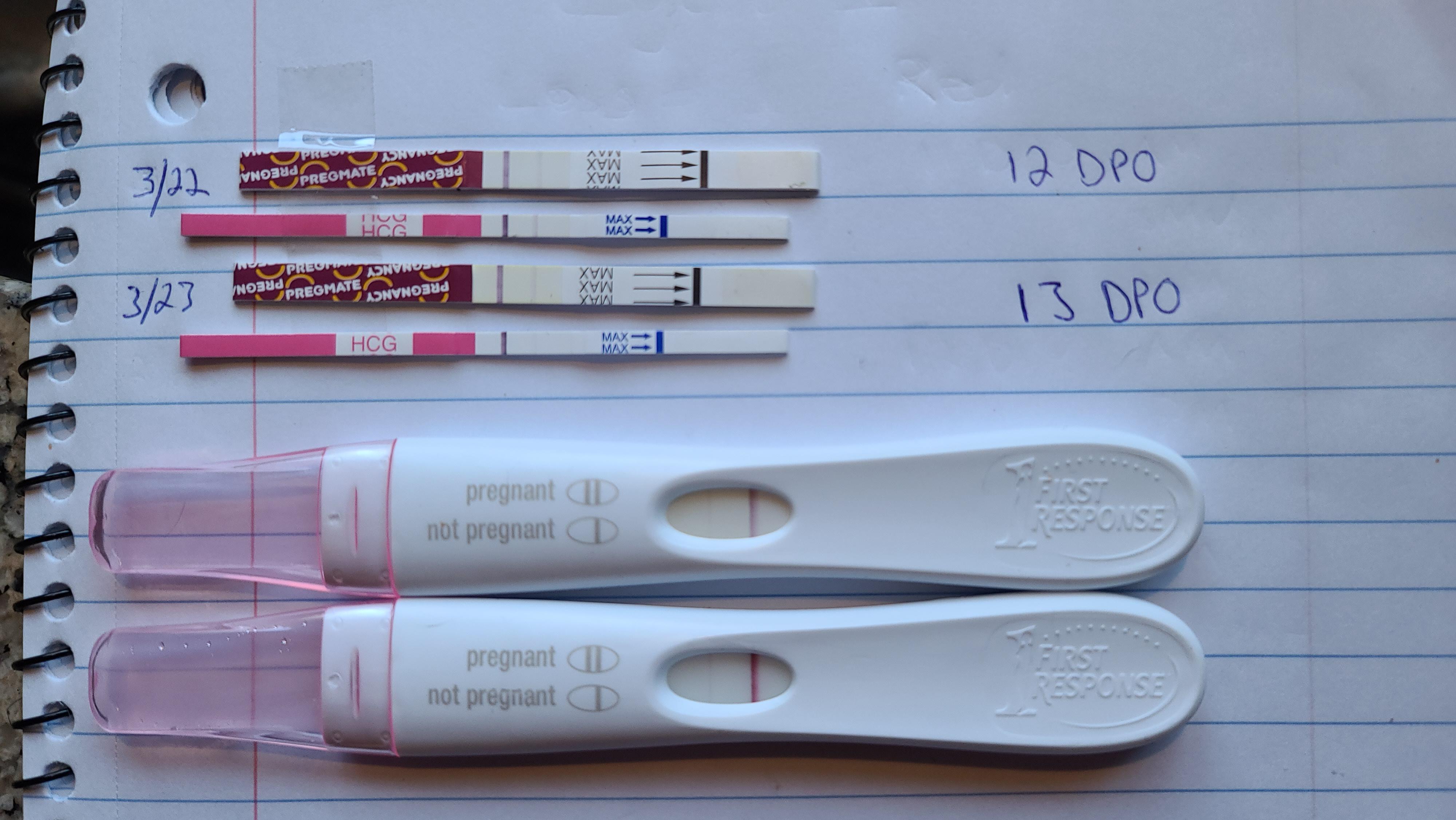 No progression from about 1213 DPO with FRER and pregmate. Clinical