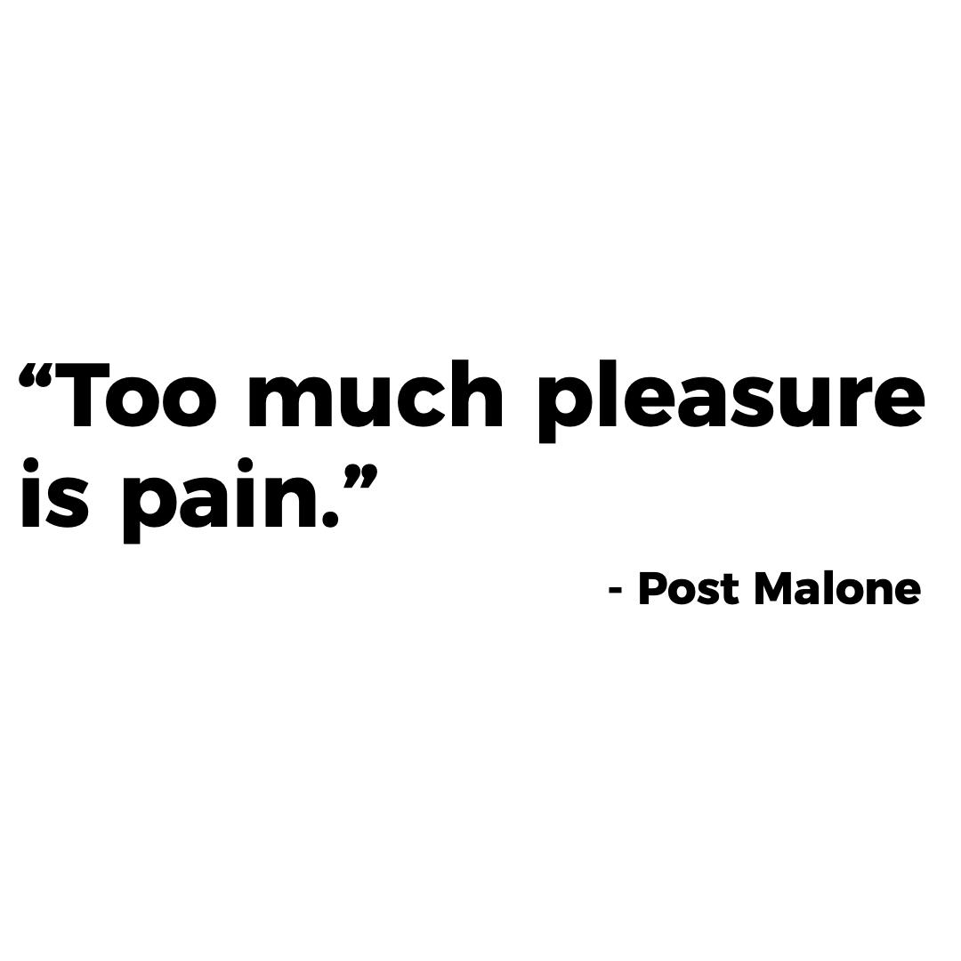 Too much pleasure is pain. r/MotivationalPics