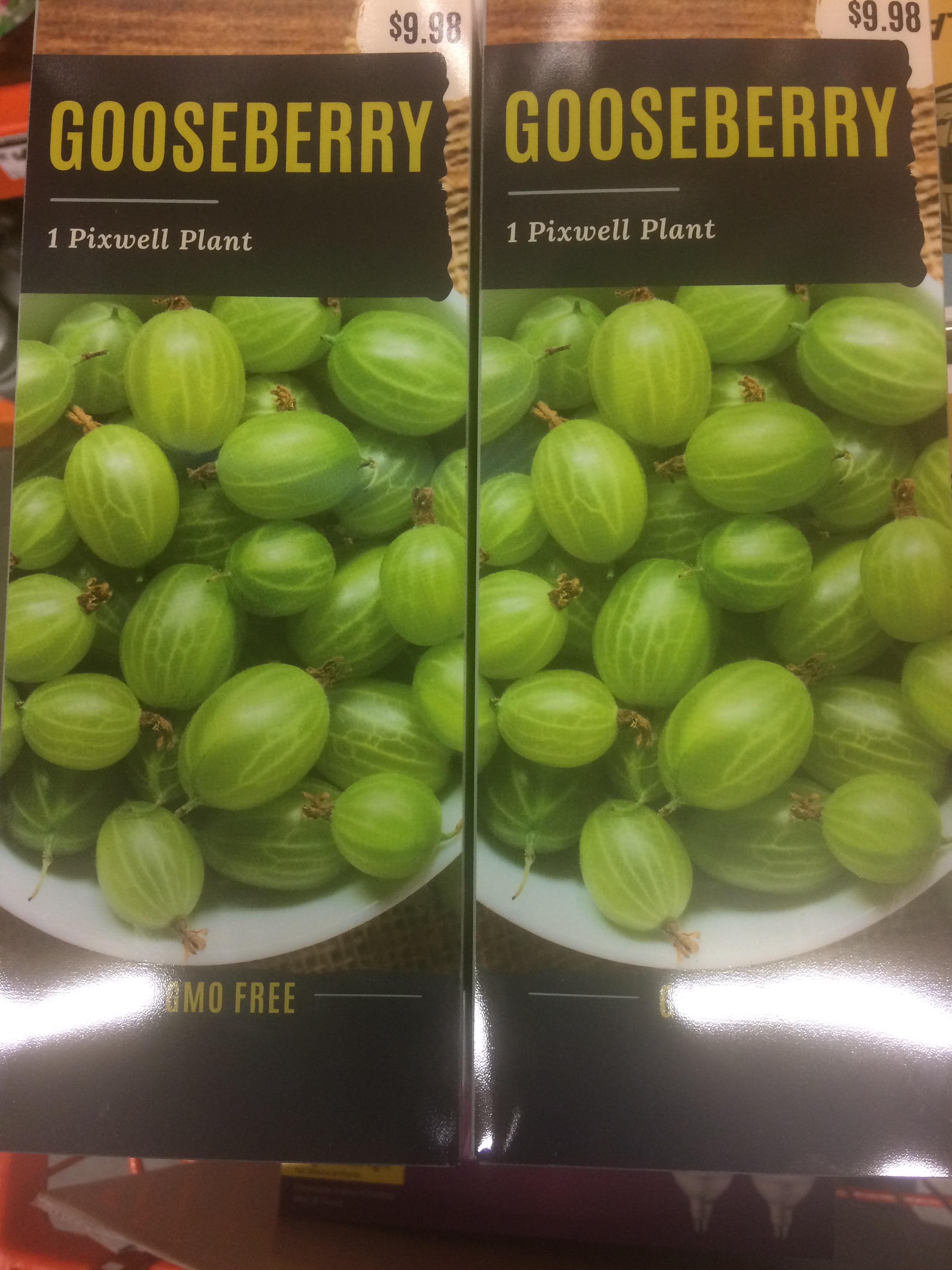 Just moved to the PNW, and found these at the big orange hardware store