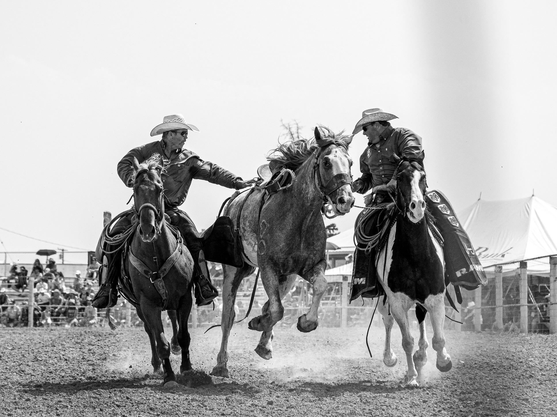 C.M. Russell Stampede, Stanford, Montana r/Rodeo
