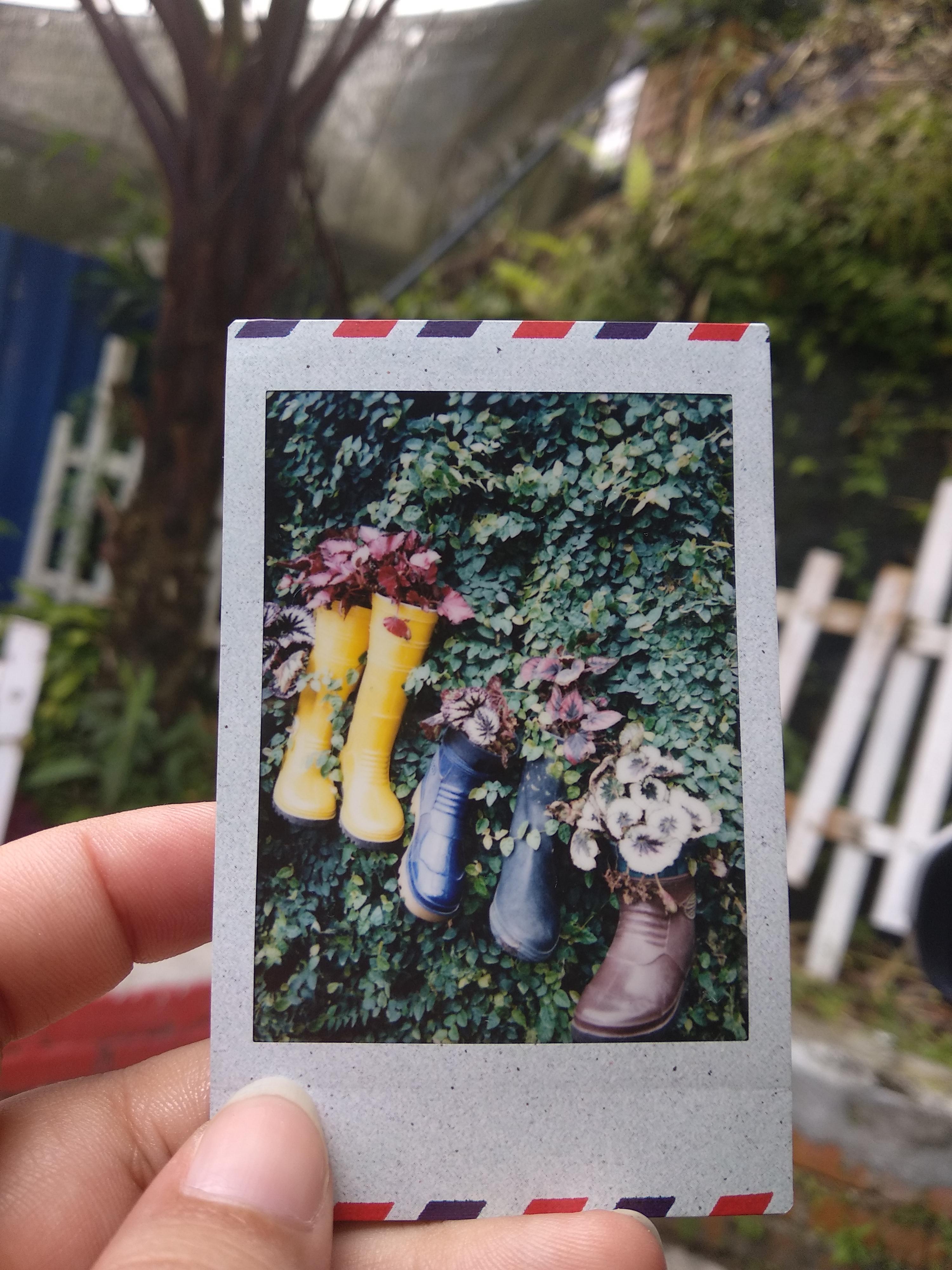 Boots all grown. (Mini90, Airmail film) r/instax