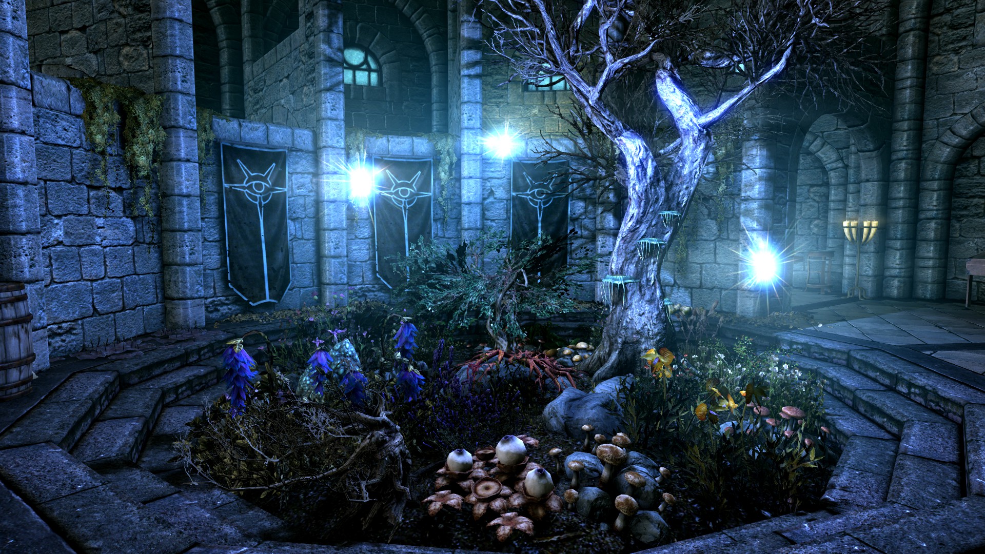 The ArchMage's Garden r/skyrim